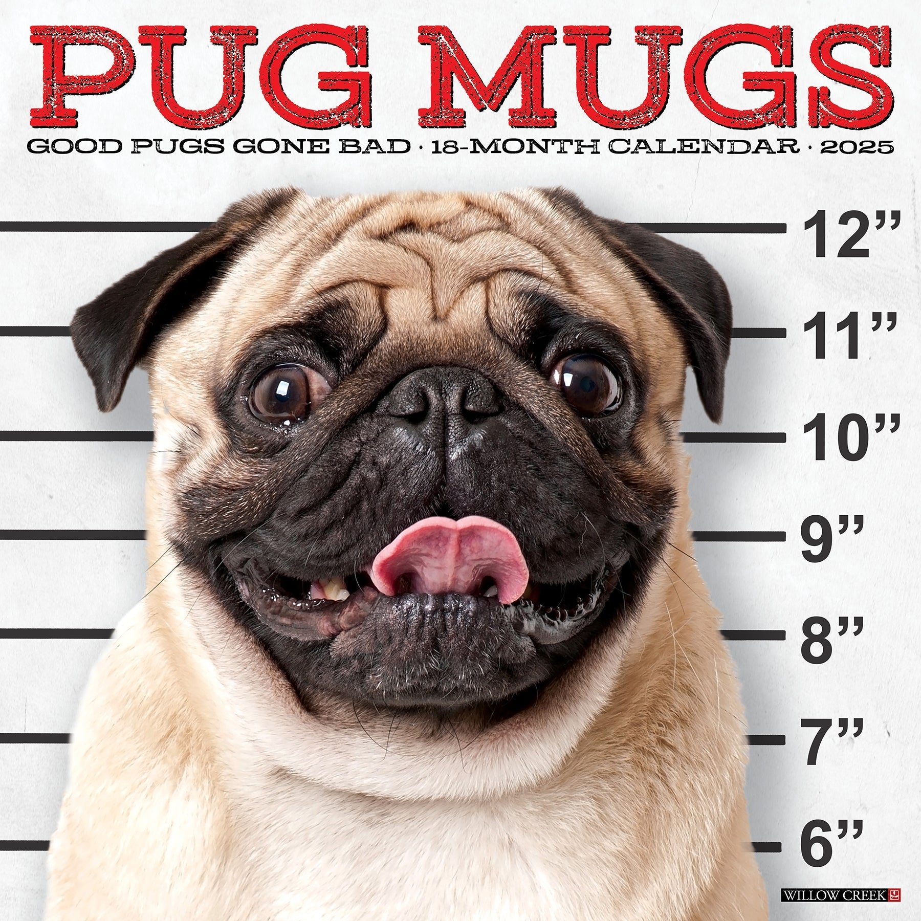 2025 Pug Mugs - Square Wall Calendar (US Only)