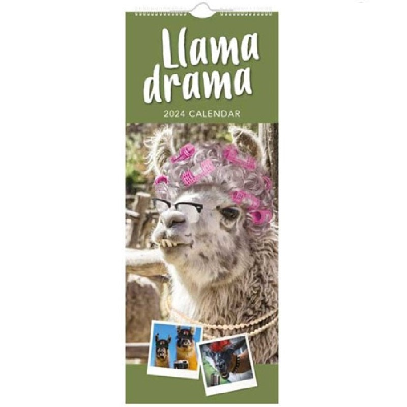 2024 Llama Drama Super Slim Wall Calendar