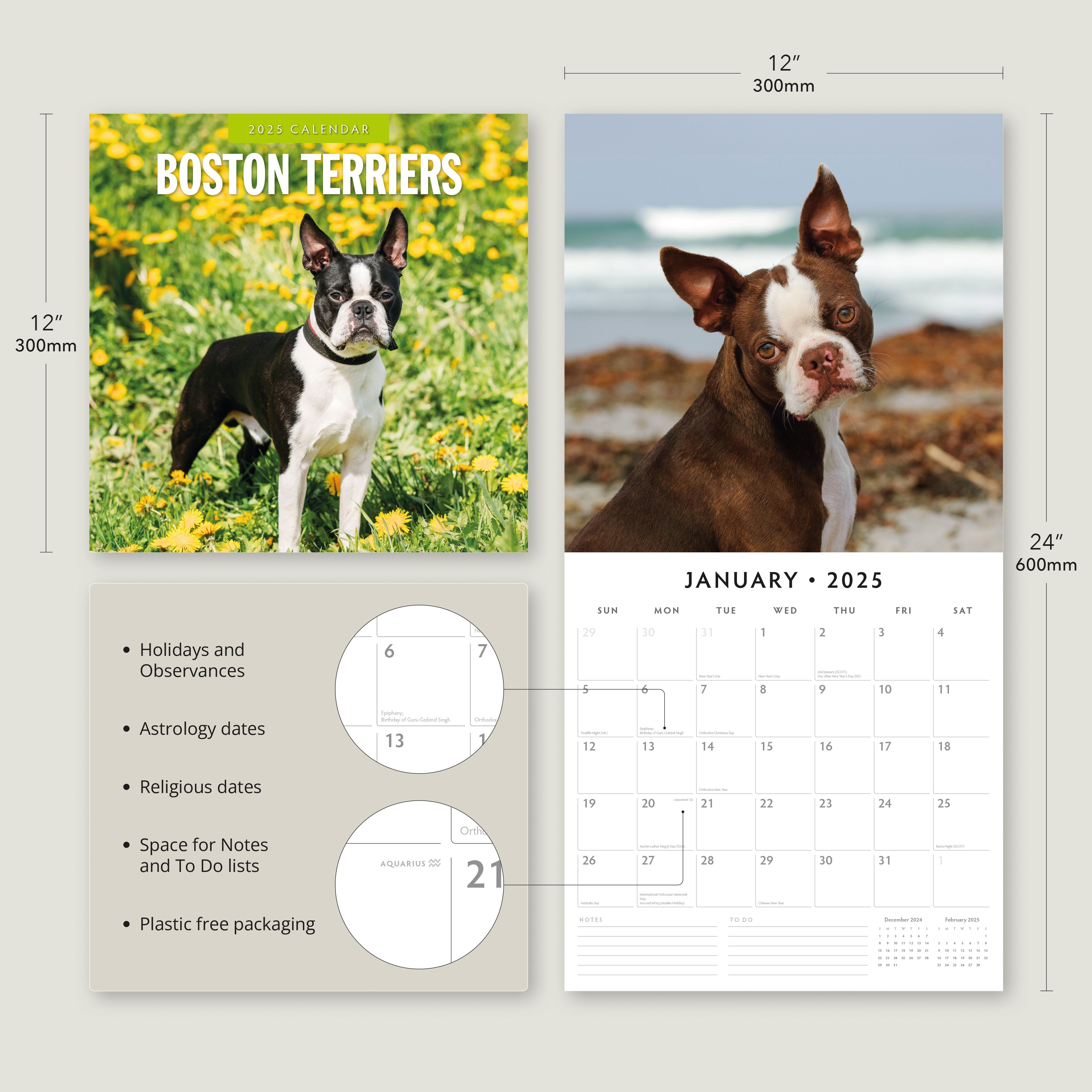 2025 Boston Terriers - Square Wall Calendar