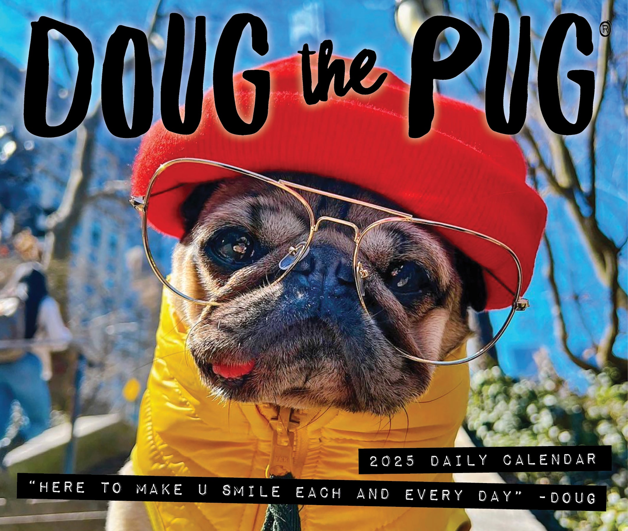 2025 Doug the Pug - USA - Daily Boxed Page-A-Day Calendar (US Only)