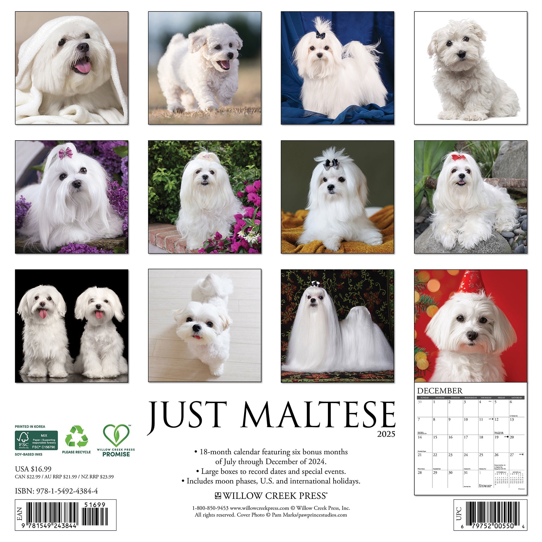 2025 Maltese - Square Wall Calendar (US Only)