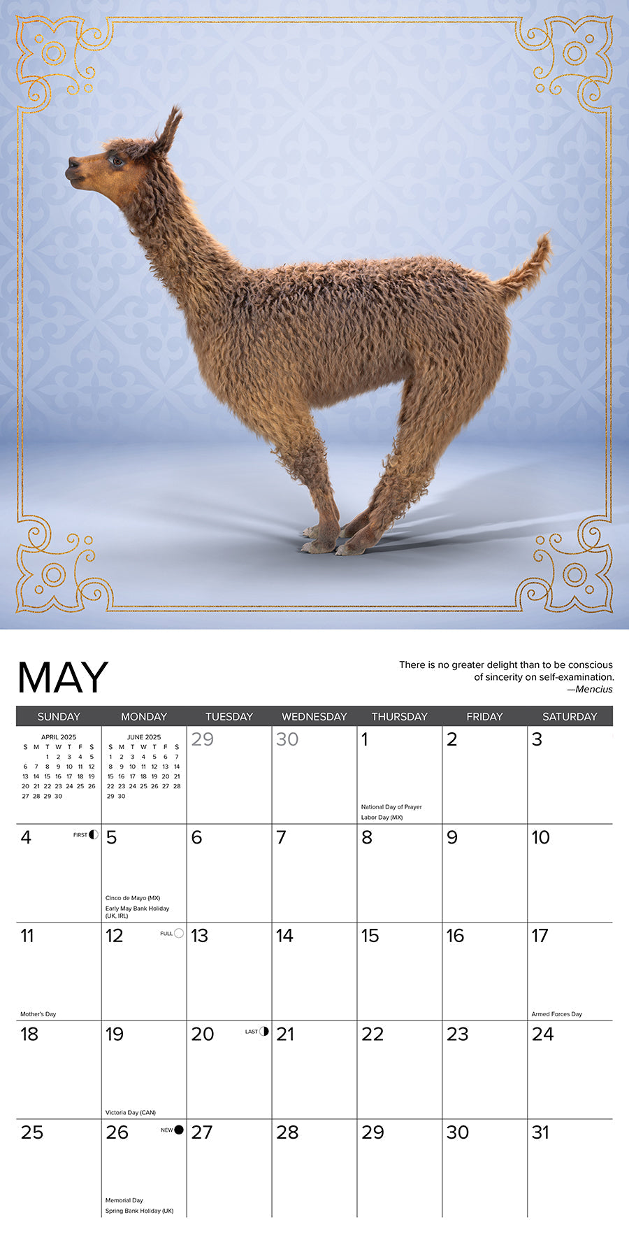 2025 Llama Yoga - Square Wall Calendar (US Only)