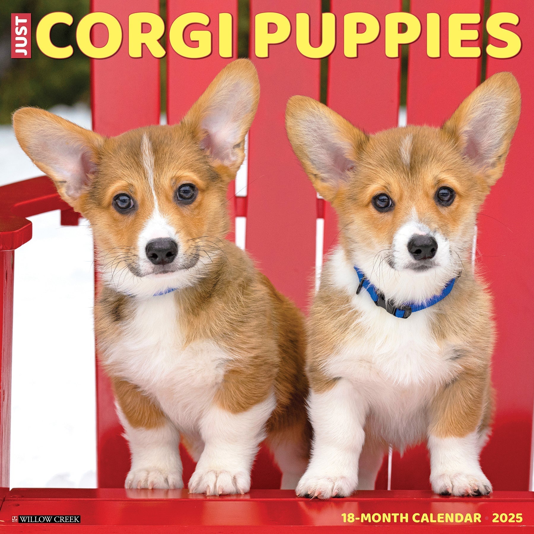 2025 Corgi Puppies - Square Wall Calendar (US Only)