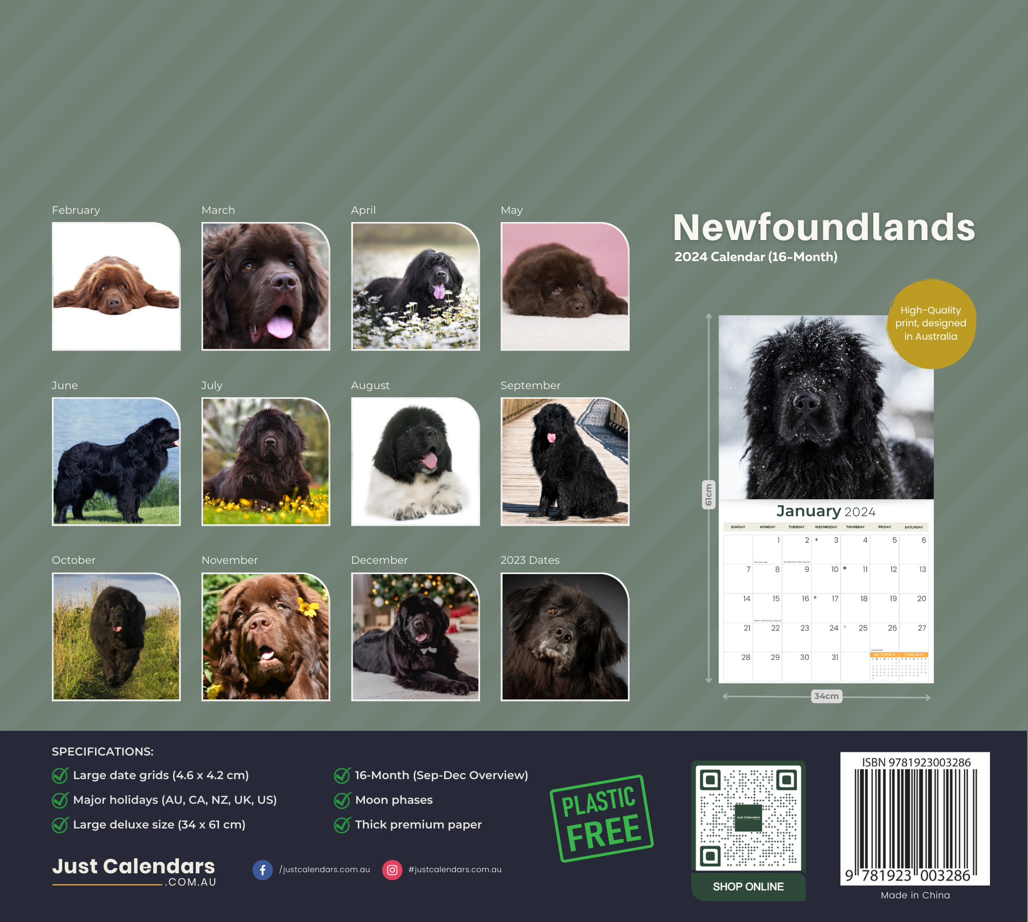 2024 Newfoundlands Dogs & Puppies - Deluxe Wall Calendar by Just Calendars - 16 Month - Plastic Free
