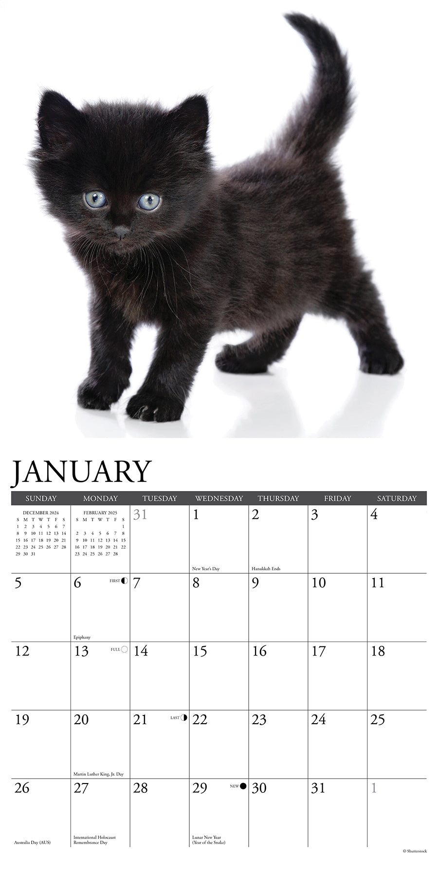 2025 Black Kittens - Square Wall Calendar (US Only)