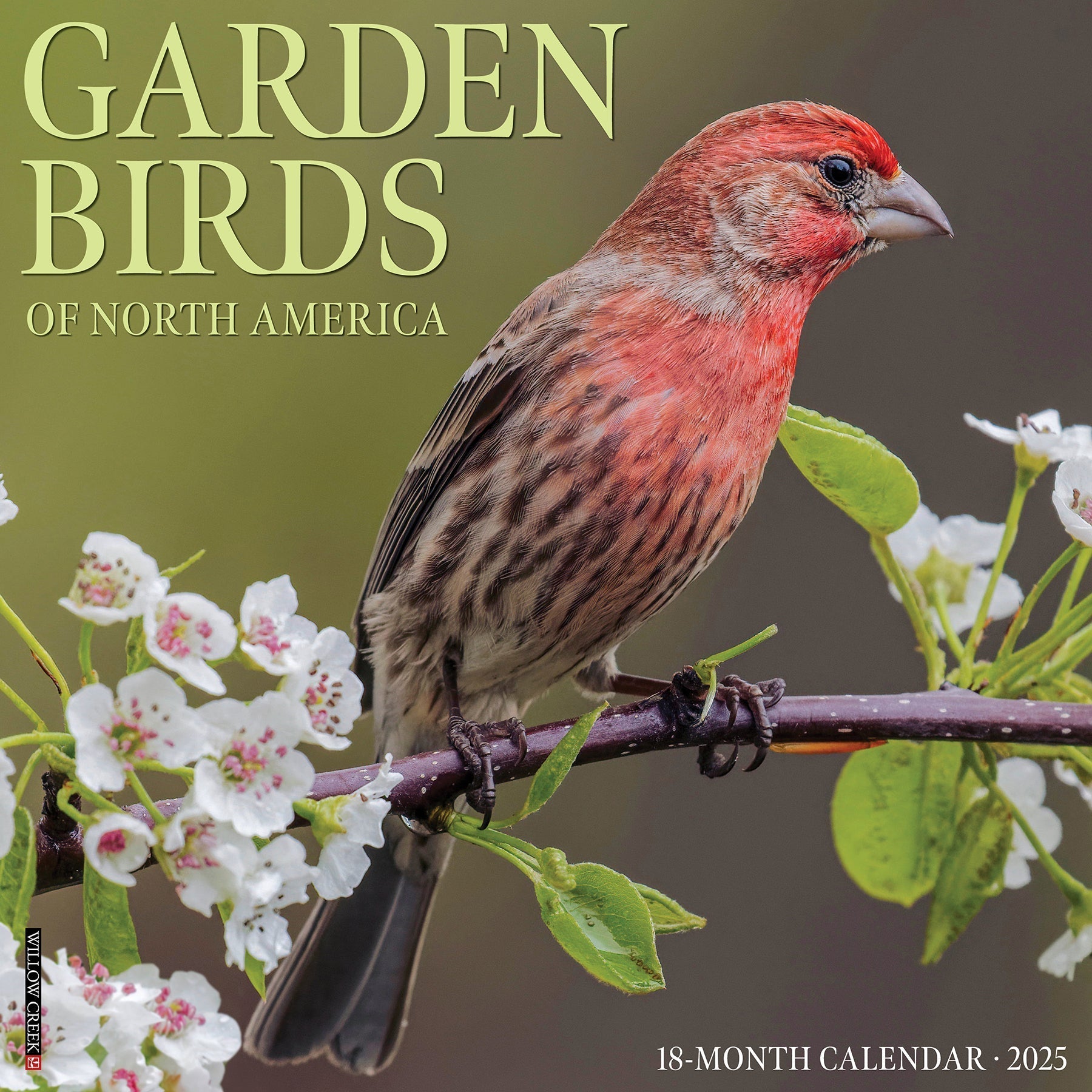 2025 Garden Birds - Square Wall Calendar (US Only)