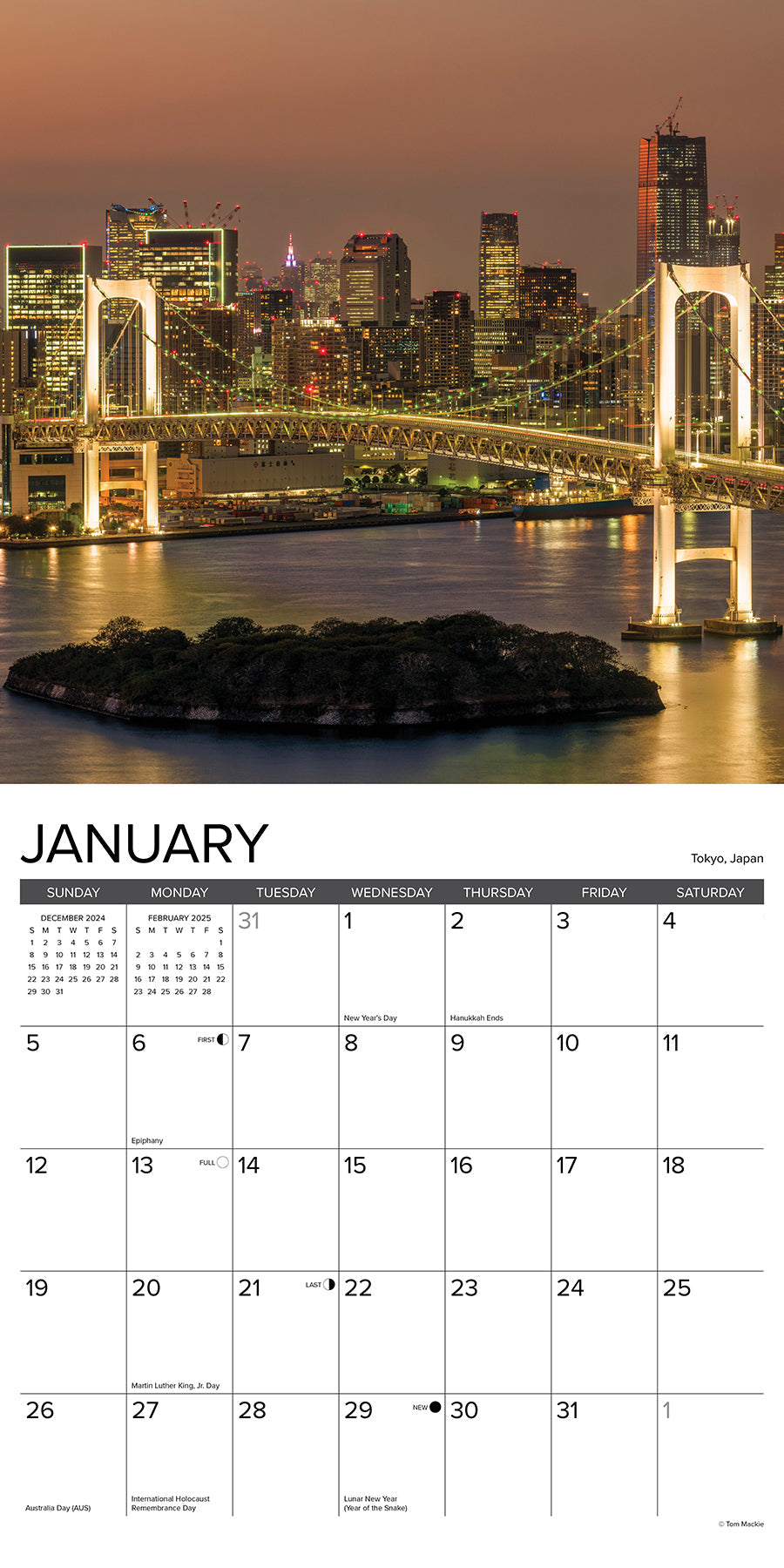 2025 Skylines - Square Wall Calendar (US Only)