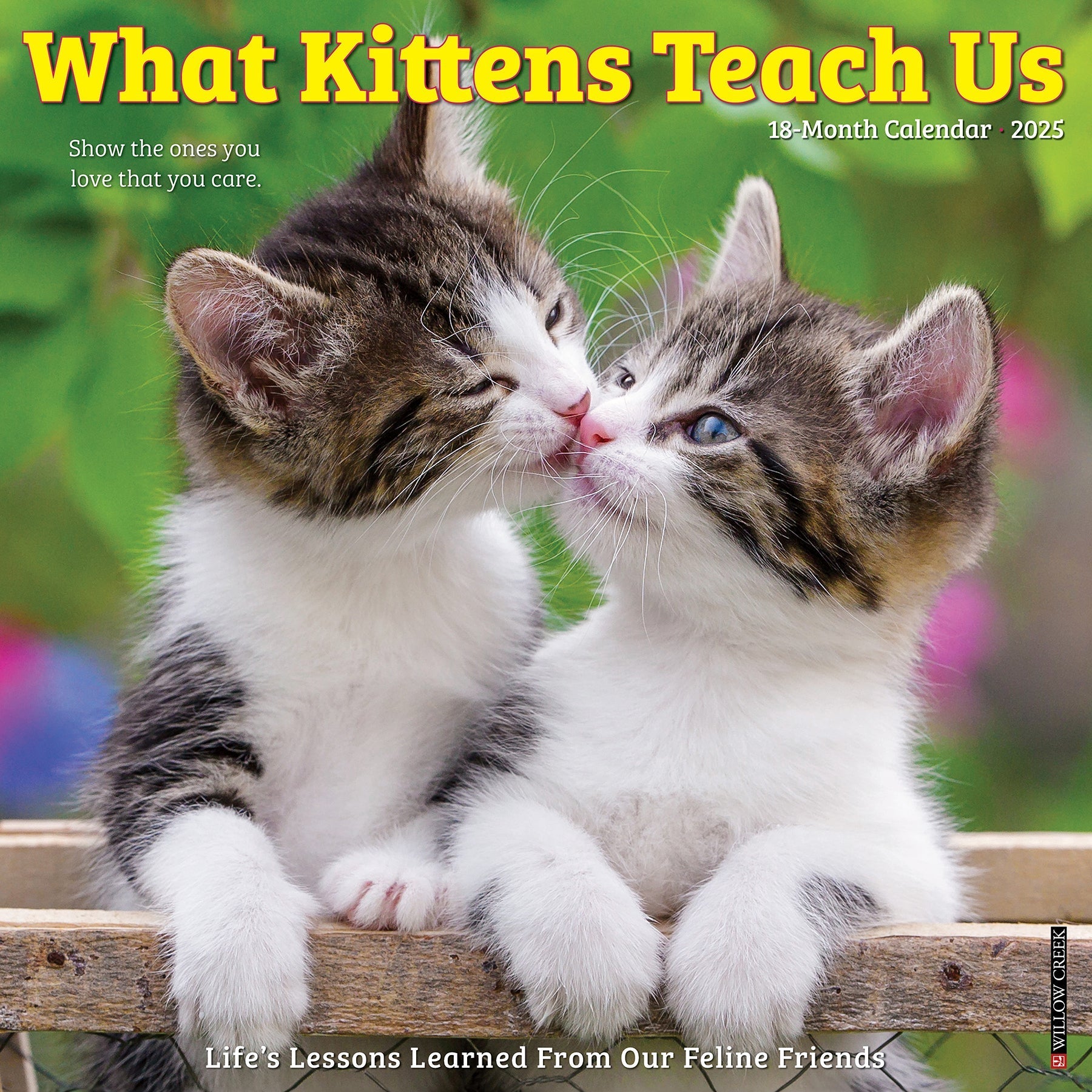 2025 What Kittens Teach Us - Square Wall Calendar (US Only)