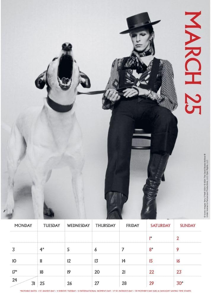 2025 David Bowie - A3 Wall Calendar