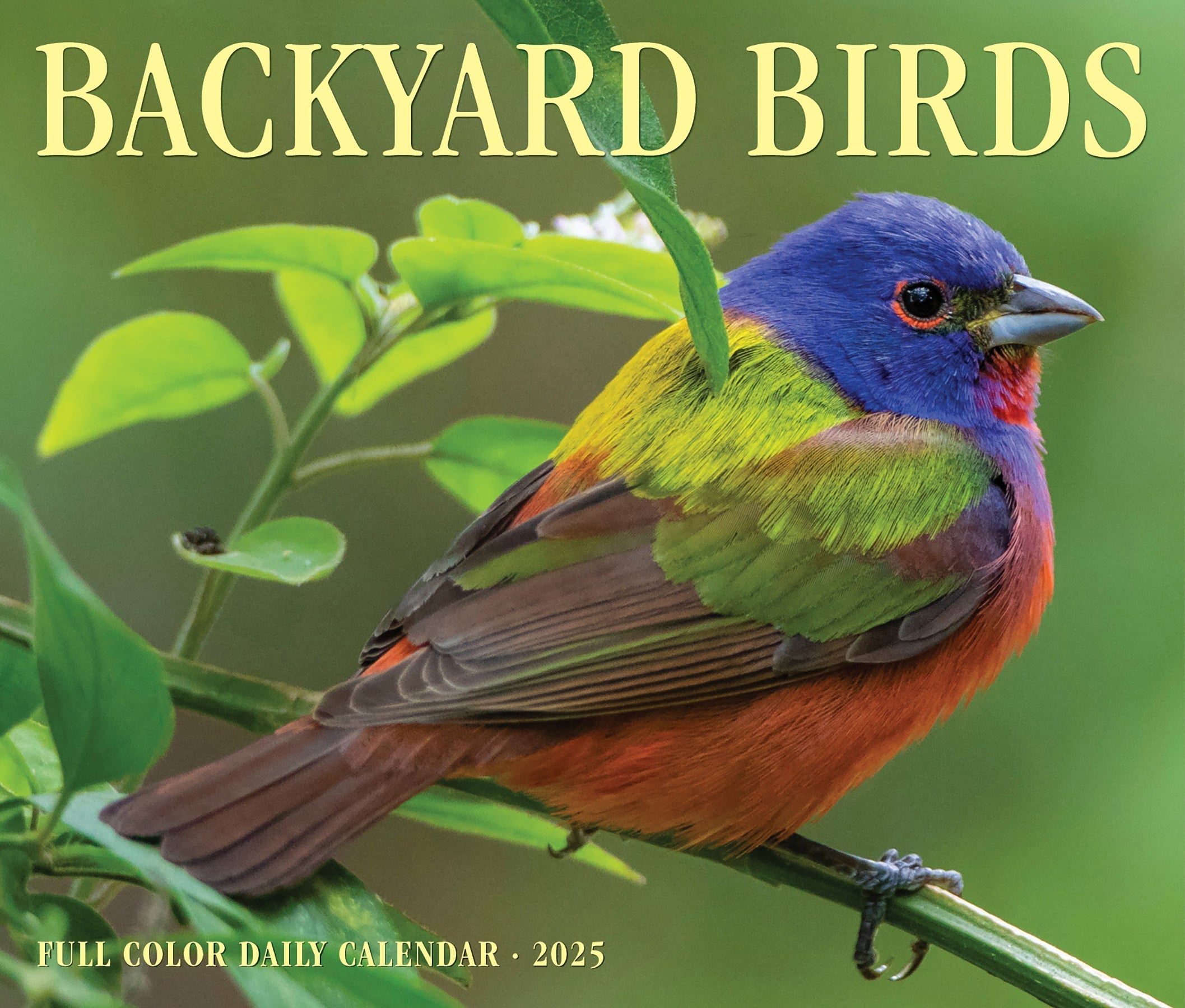 2025 Backyard Birds - Daily Boxed Page-A-Day Calendar (US Only)