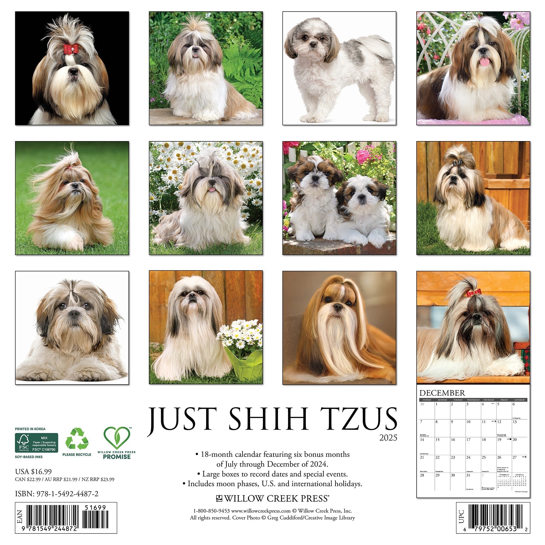 2025 Shih Tzus - Square Wall Calendar (US Only)