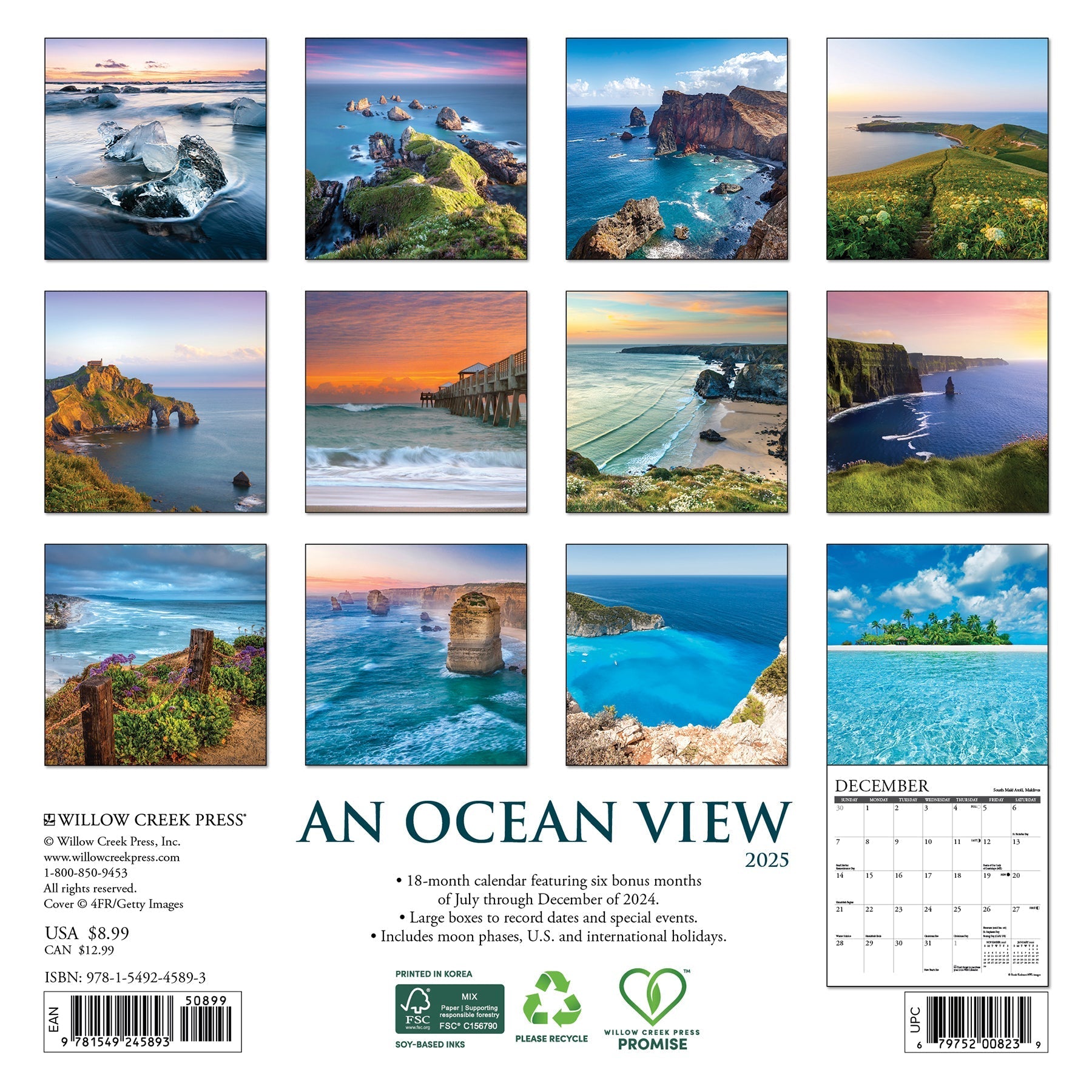 2025 Ocean View - Mini Wall Calendar (US Only)