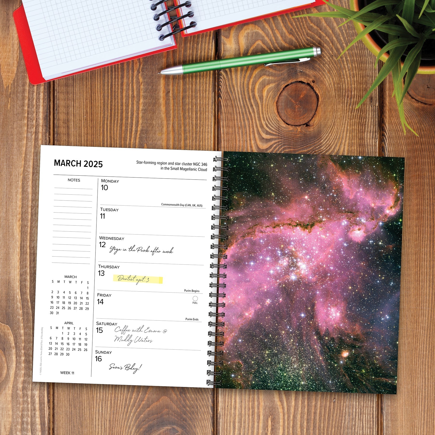 2025 Astronomy - Weekly Diary/Planner (US Only)