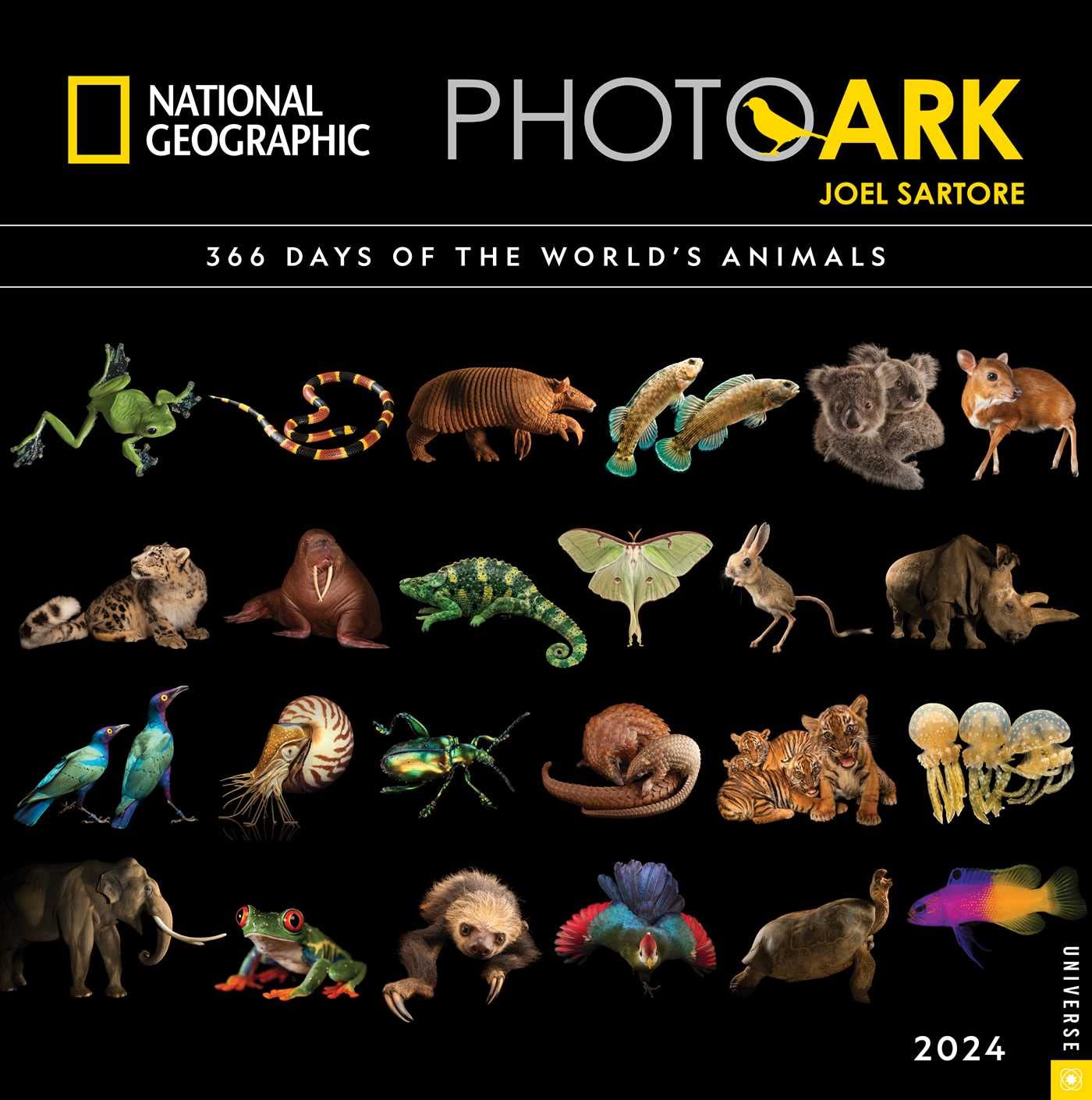 2024 Photo Ark: National Geographic - Square Wall Calendar