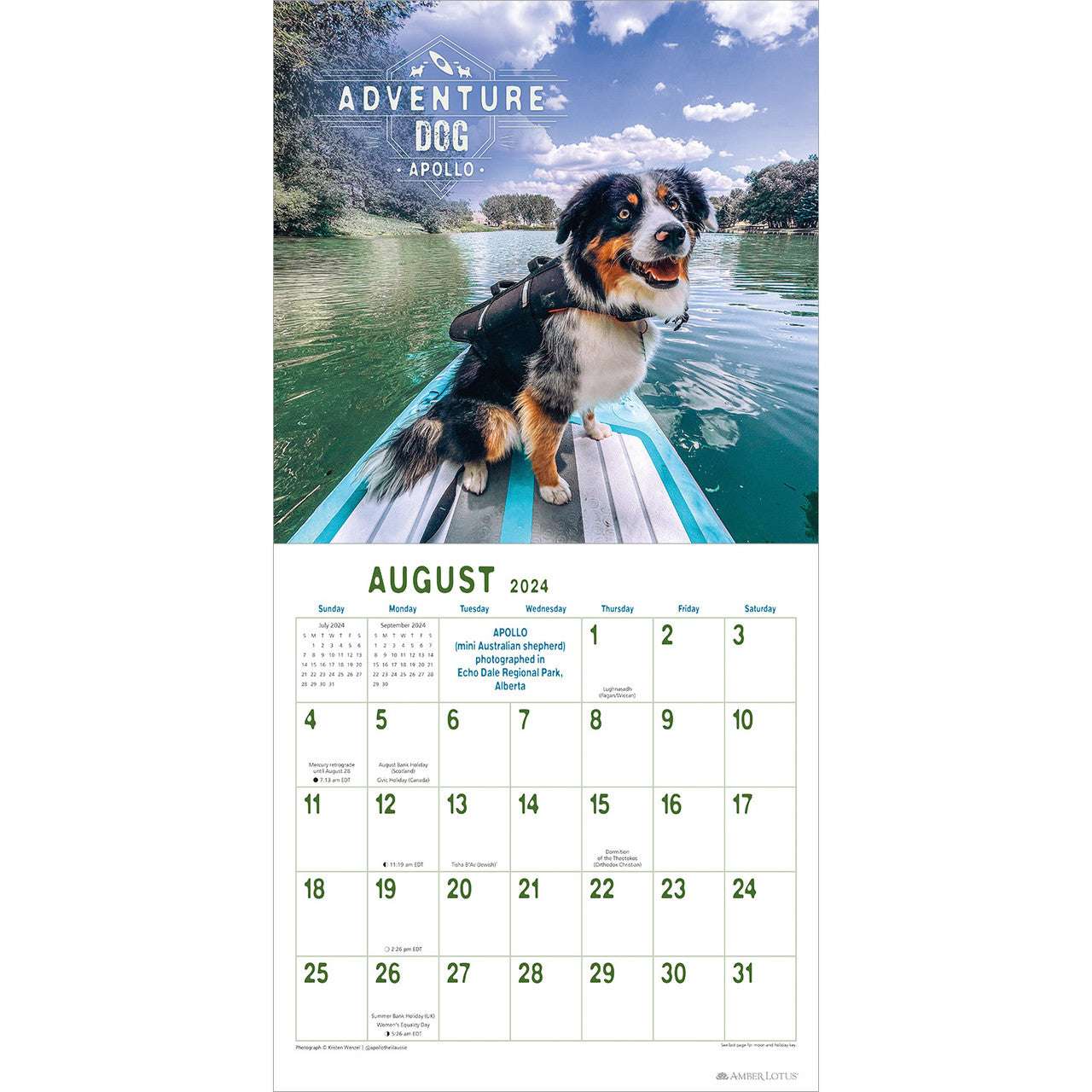 2024 Adventure Dogs - Square Wall Calendar