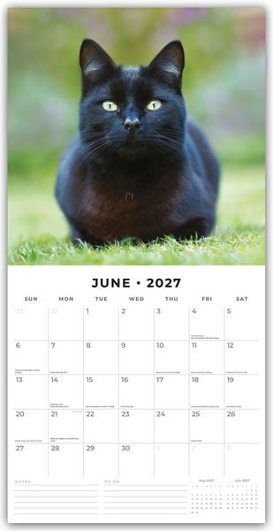2027 Black Cats - Square Wall Calendar