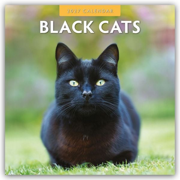 2027 Black Cats - Square Wall Calendar