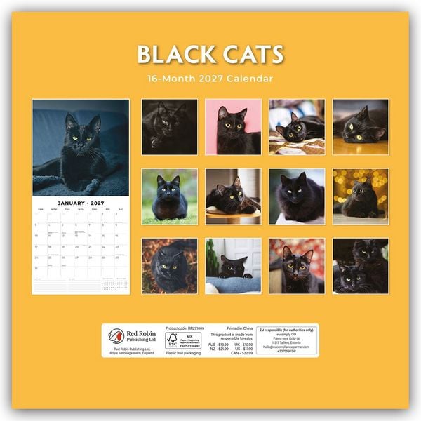 2027 Black Cats - Square Wall Calendar
