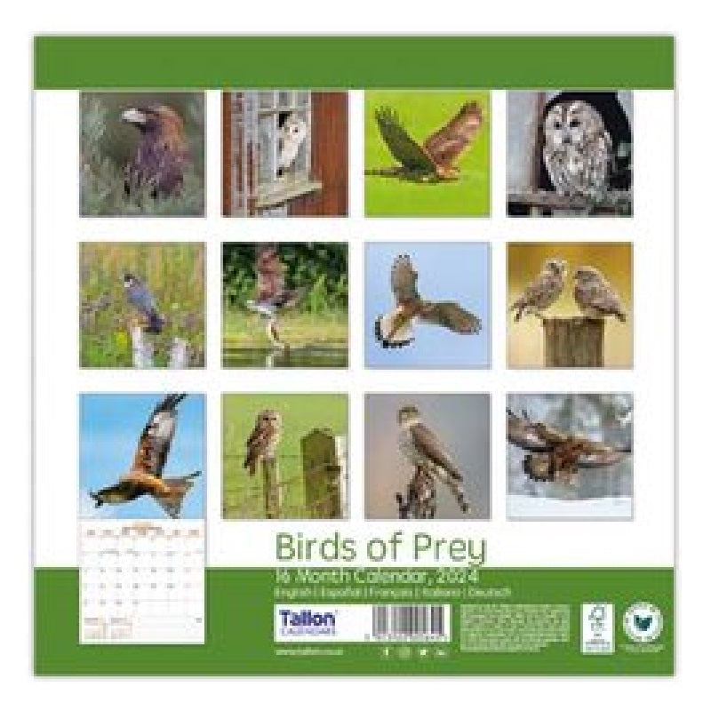 2024 Birds of Prey - Square Wall Calendar
