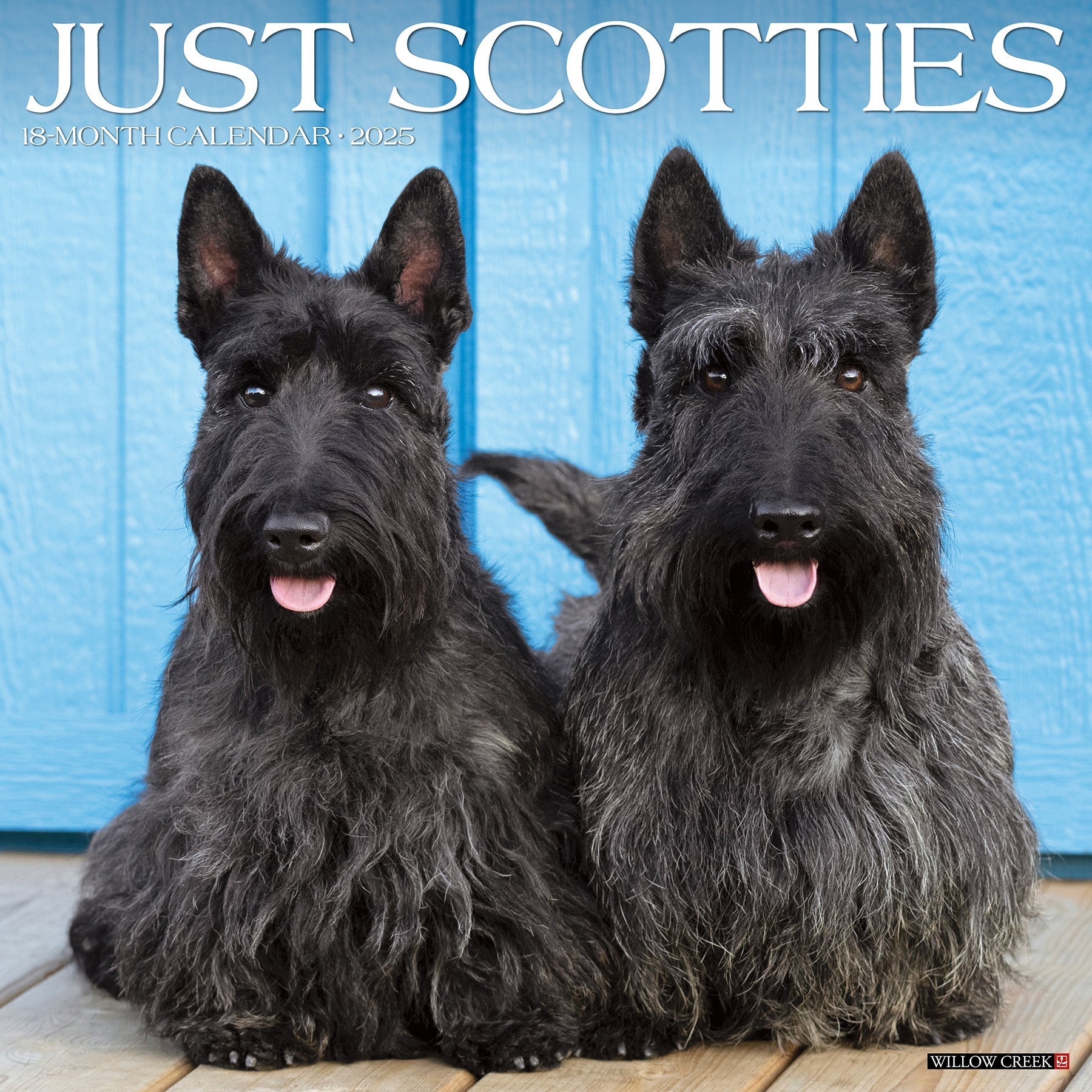 2025 Scotties - Square Wall Calendar (US Only)