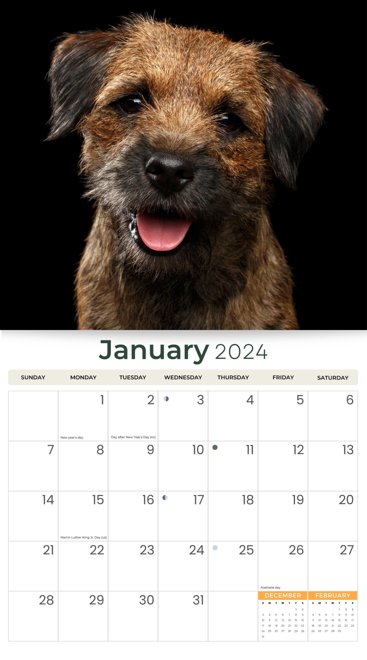 2024 Border Terriers Dogs & Puppies - Deluxe Wall Calendar by Just Calendars - 16 Month - Plastic Free