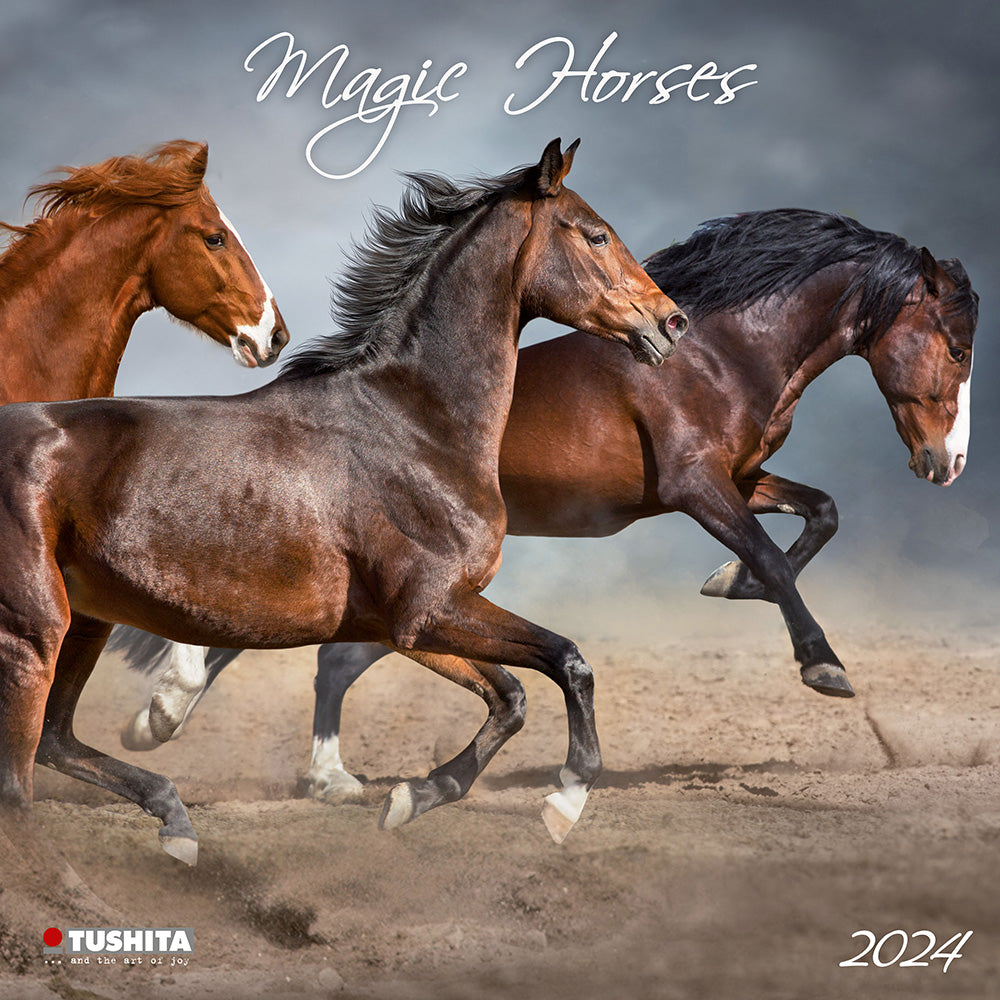 2024 Magic Horses Square Wall Calendar Animals Wildlife   C22c4750df35c7cf88c368ab59a9e7ed 