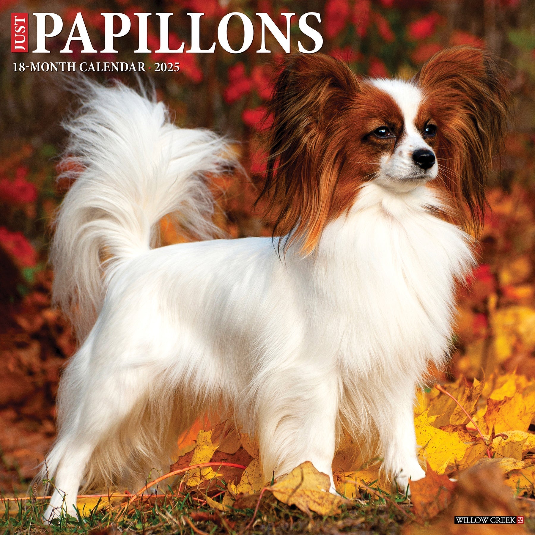 2025 Papillons - Square Wall Calendar (US Only)