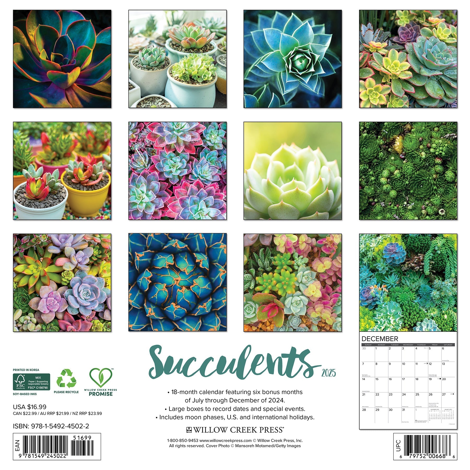 2025 Succulents Calendar