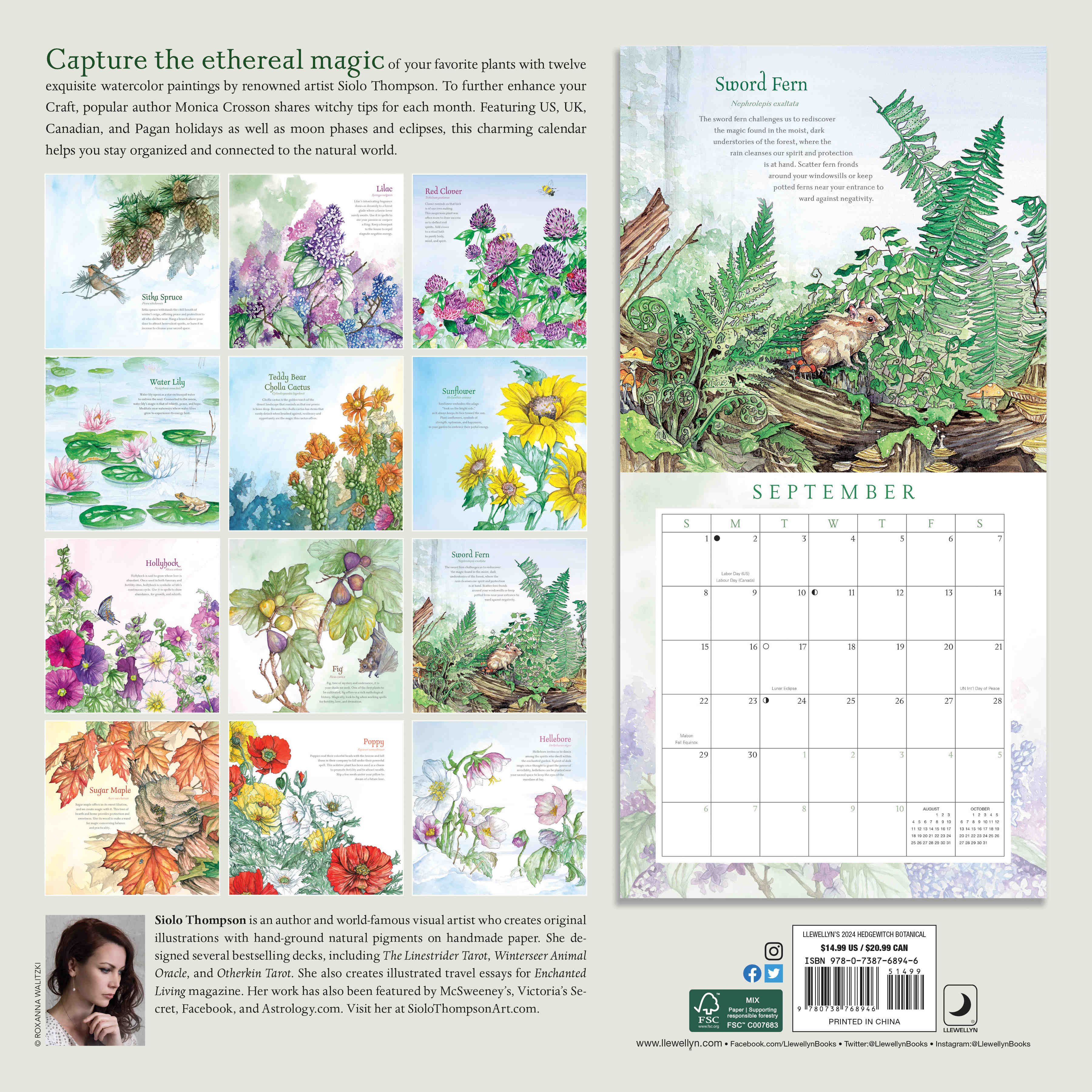 2024-llewellyn-s-hedgewitch-botanical-square-wall-calendar