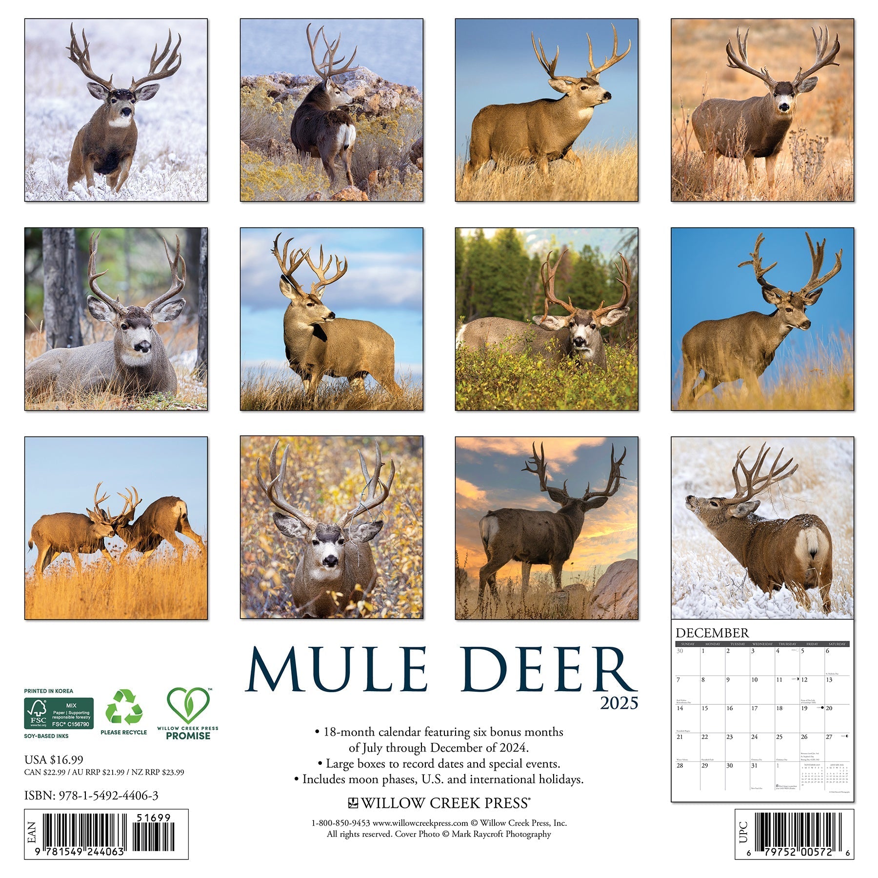 2025 Mule Deer - Square Wall Calendar (US Only)