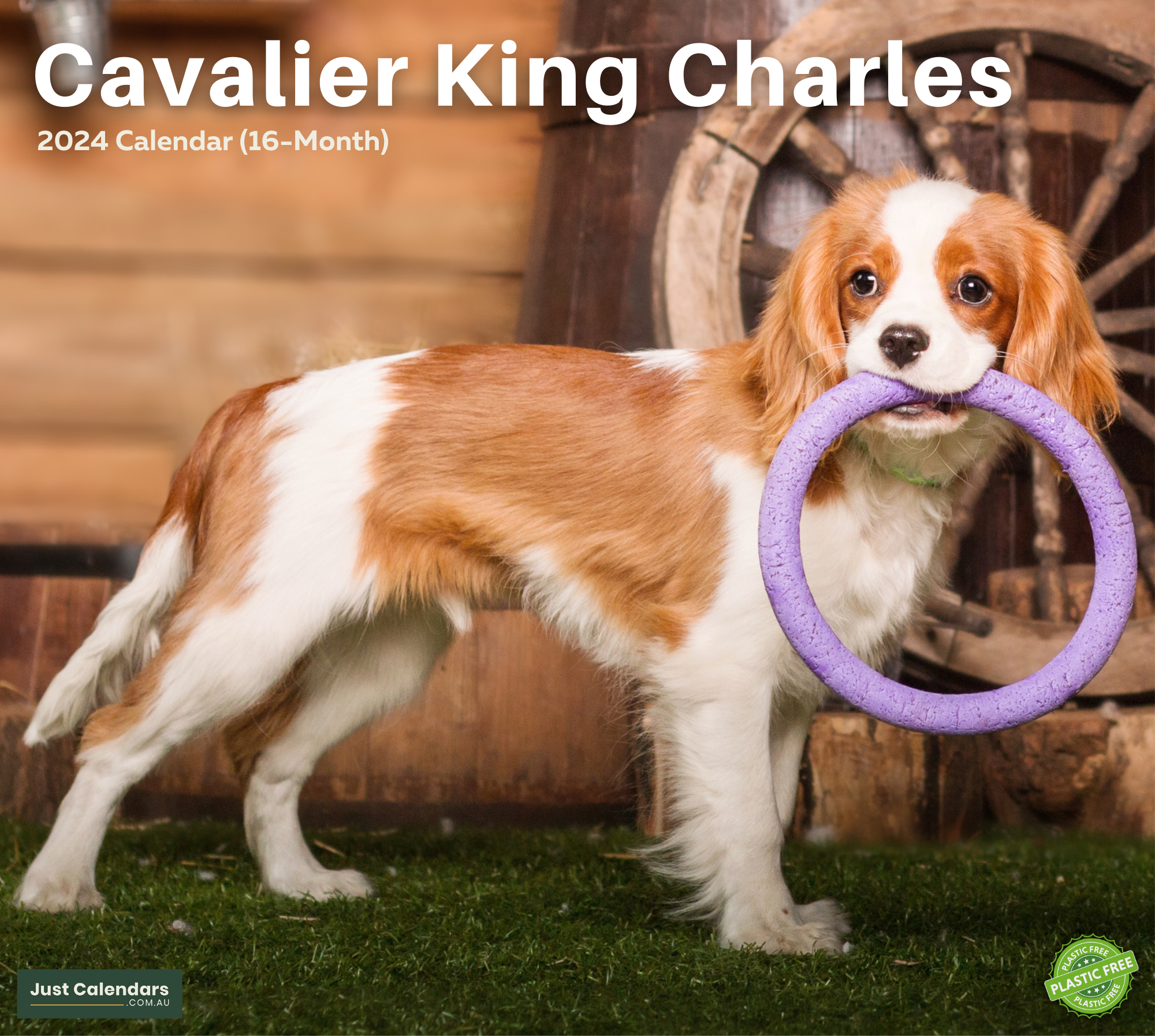 2024 Cavalier King Charles Dogs & Puppies - Deluxe Wall Calendar by Just Calendars - 16 Month - Plastic Free