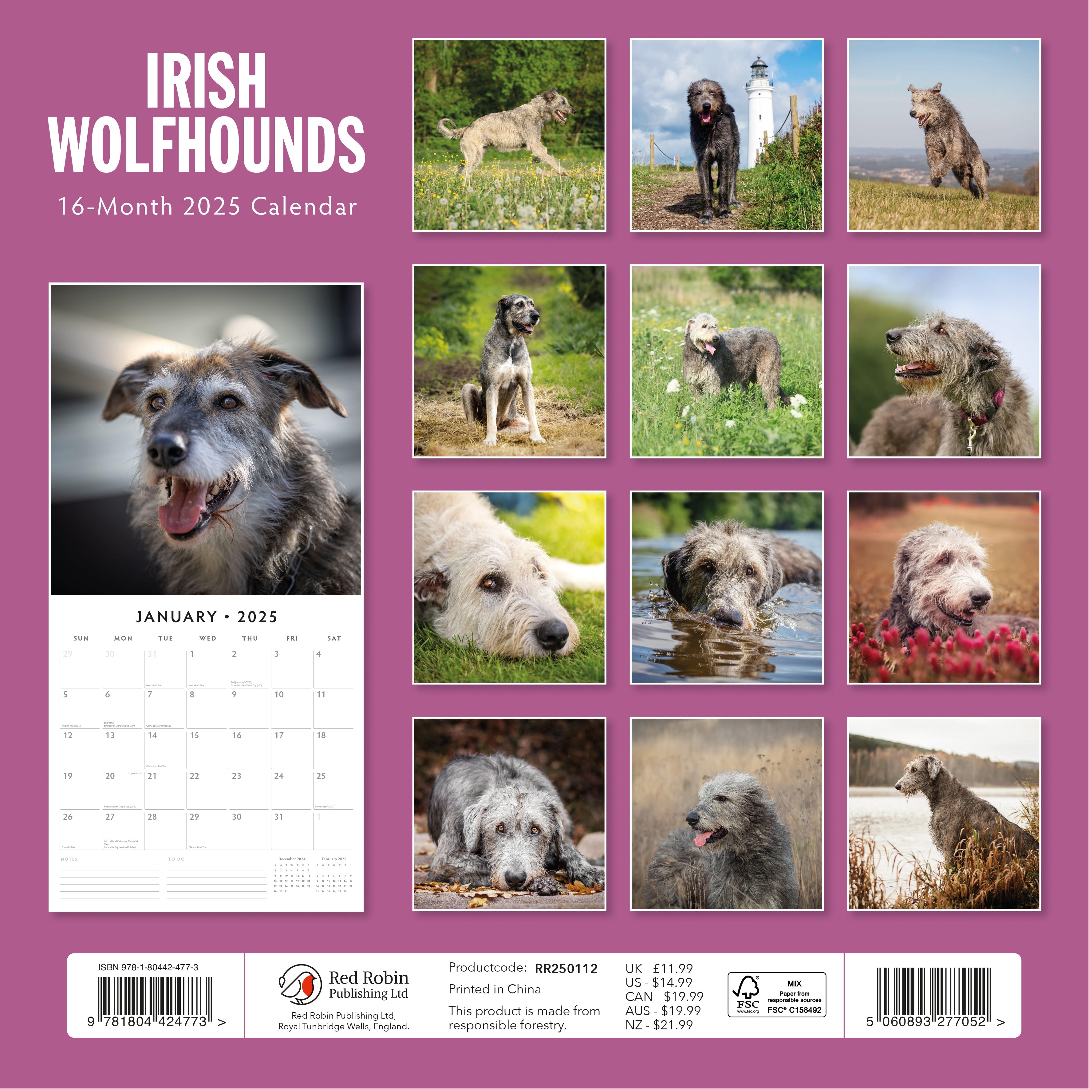 2025 Irish Wolf Hounds - Square Wall Calendar