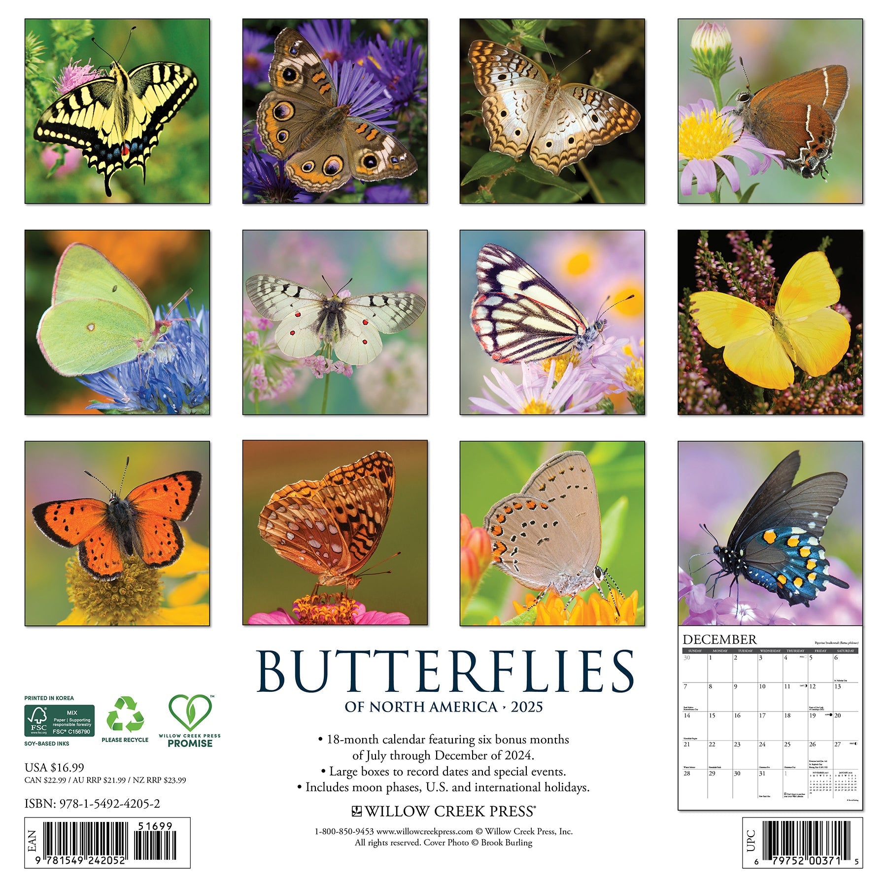 2025 Butterflies - Square Wall Calendar (US Only)