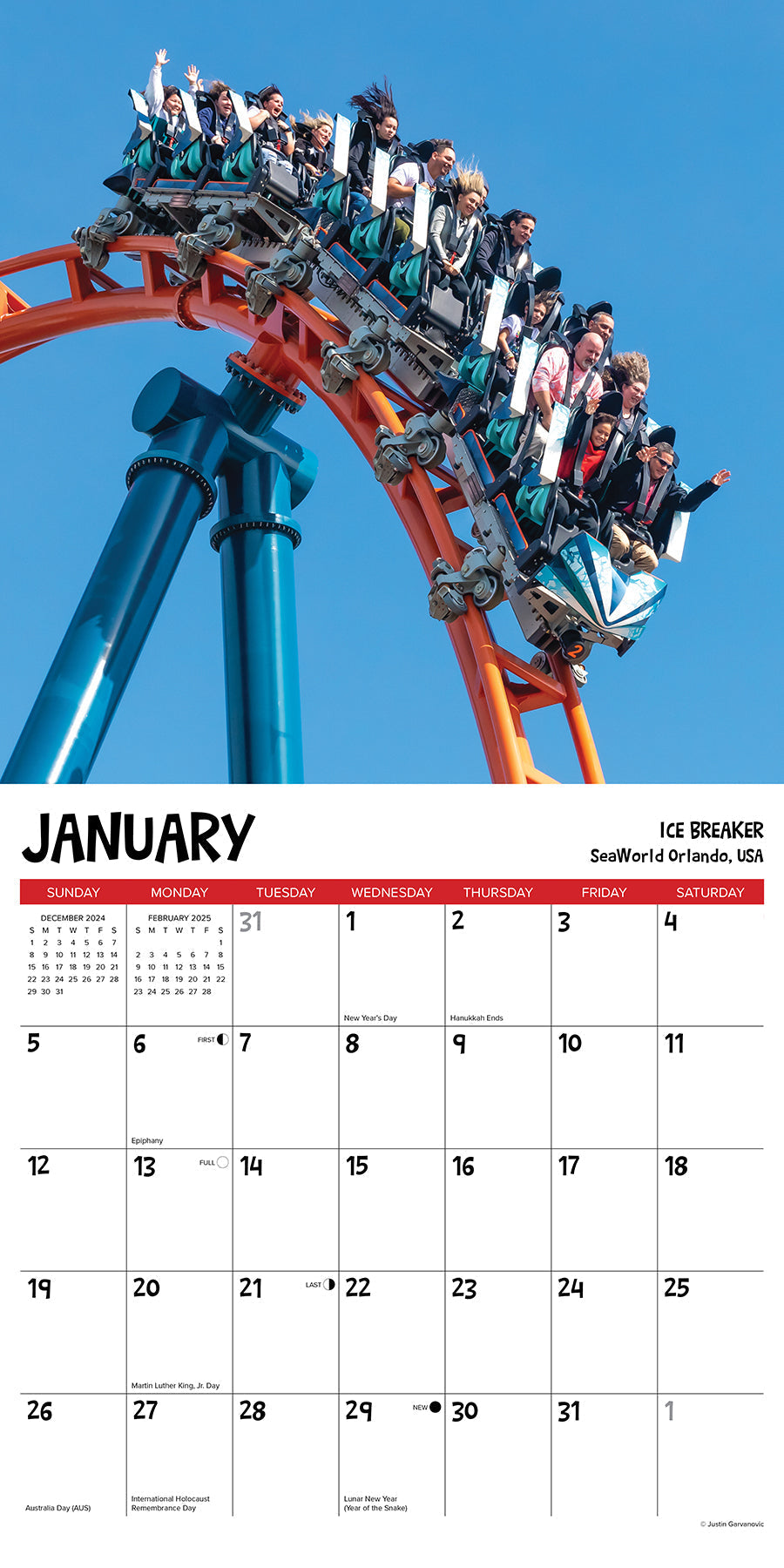 2025 Roller Coasters - Square Wall Calendar (US Only)