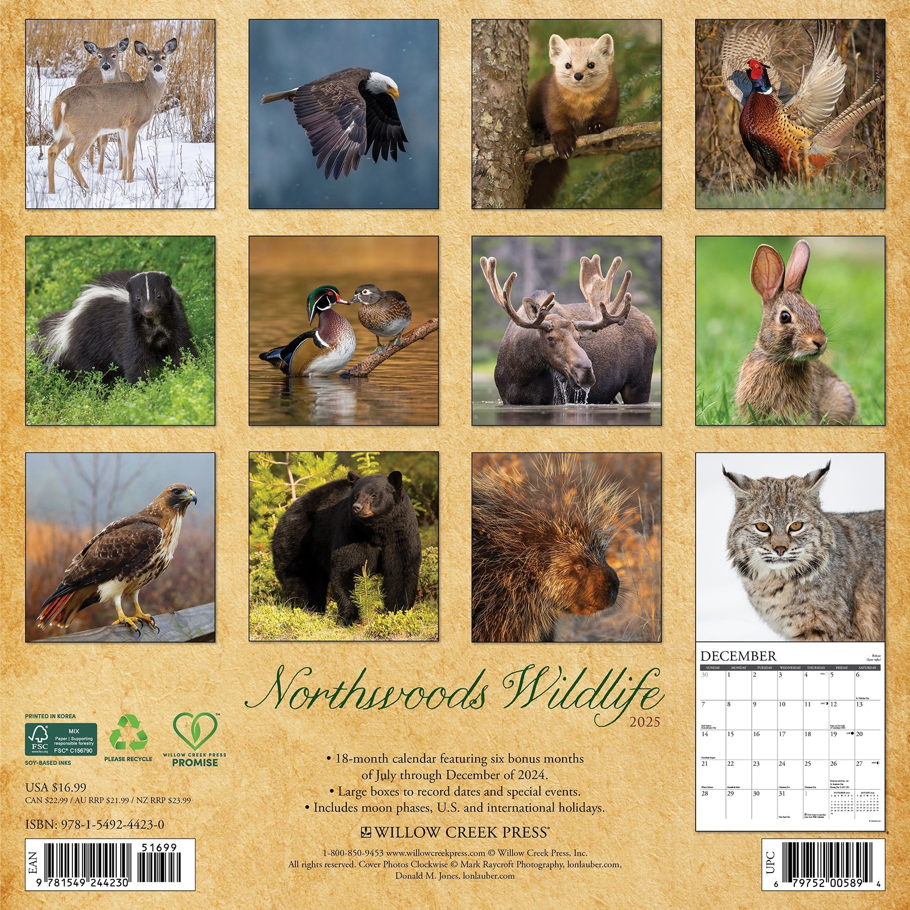 2025 Northwoods Wildlife - Square Wall Calendar (US Only)