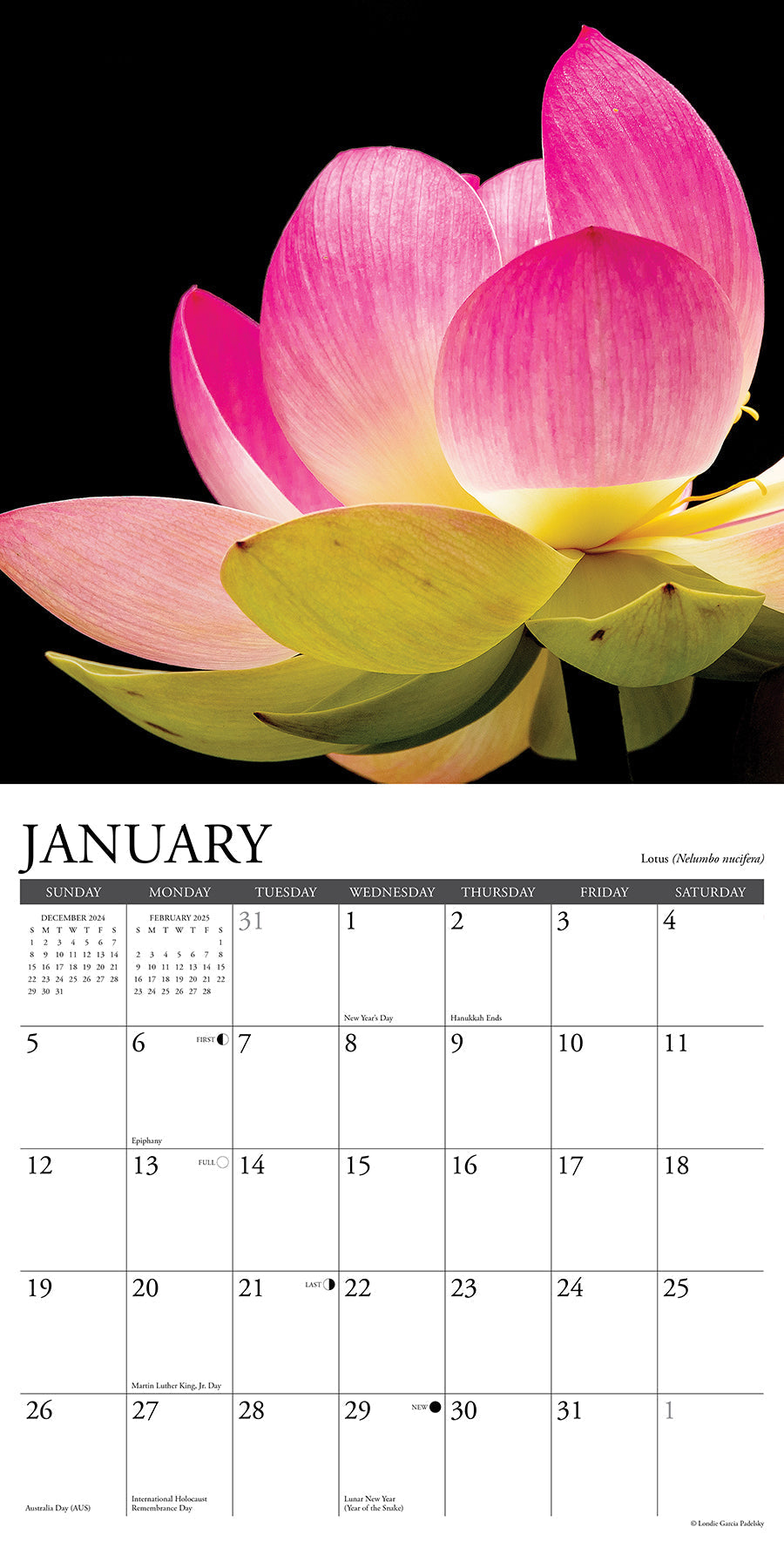 2025 Flowers - Square Wall Calendar (US Only)