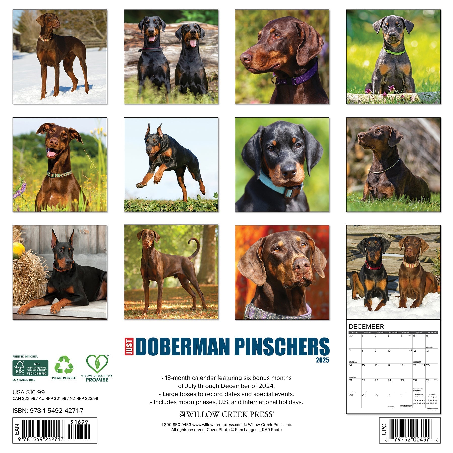 2025 Doberman Pinschers - Square Wall Calendar (US Only)