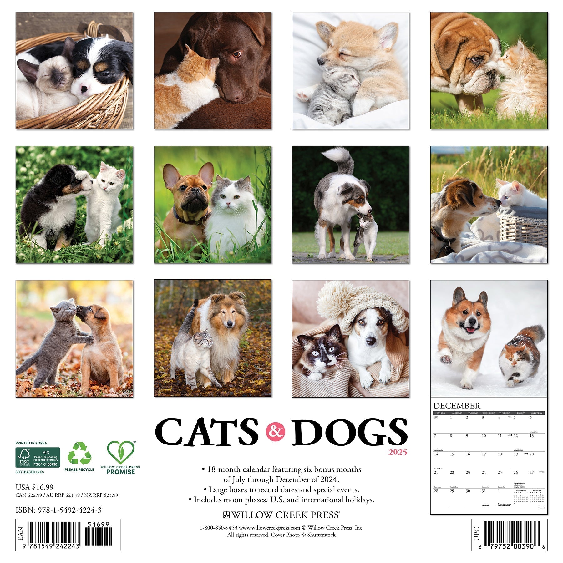 2025 Cats & Dogs - Square Wall Calendar (US Only)