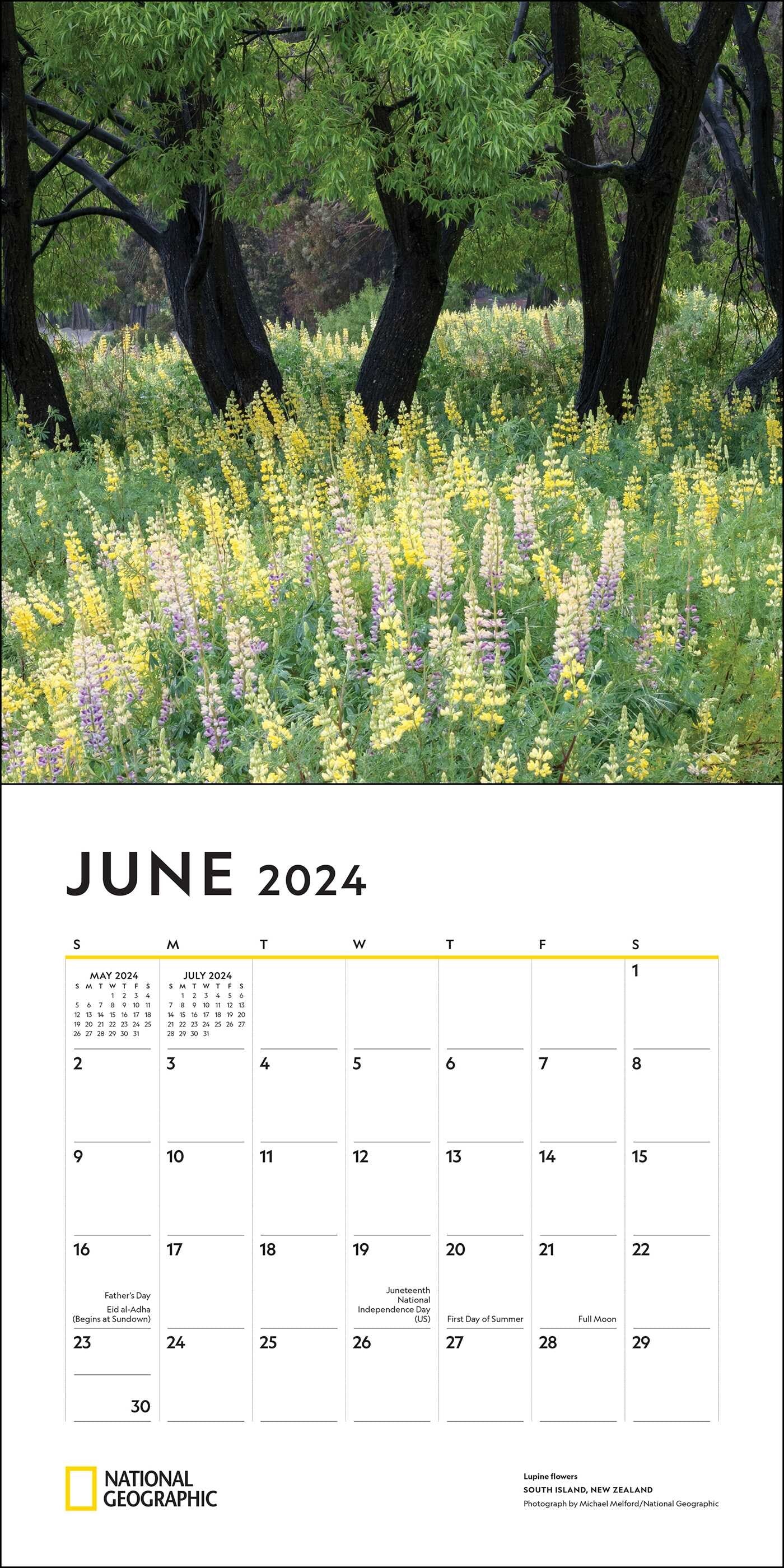 2024 Wildflowers: National Geographic - Square Wall Calendar  SOLD OUT