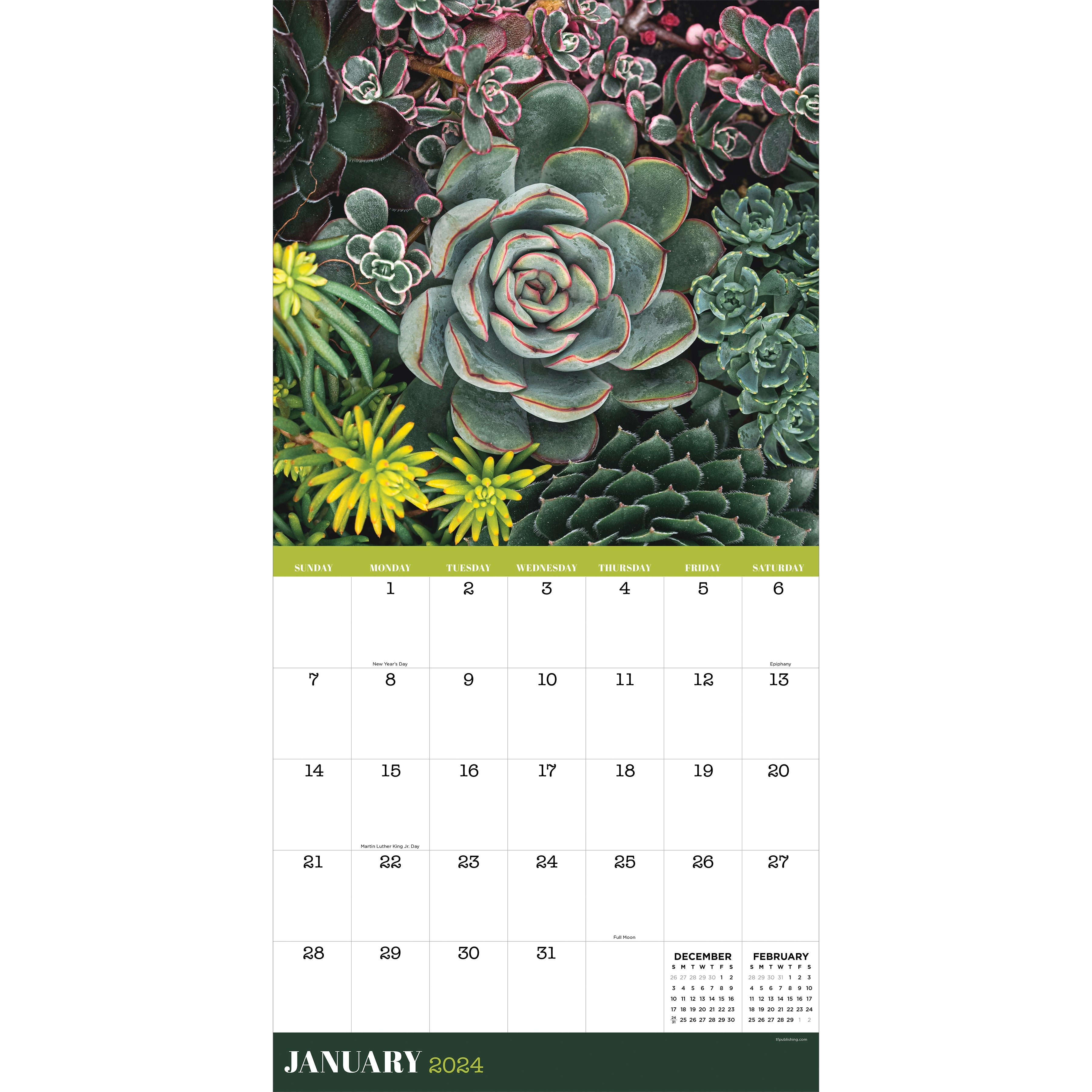 2024 Succulents (by TF Publishing) Square Wall Calendar