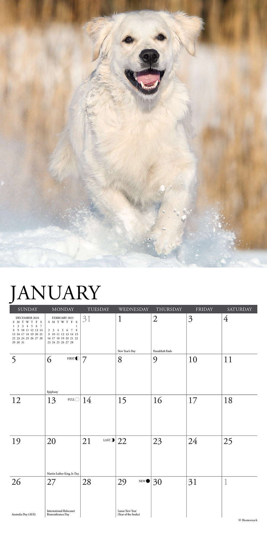 2025 Goldens - Mini Wall Calendar (US Only)