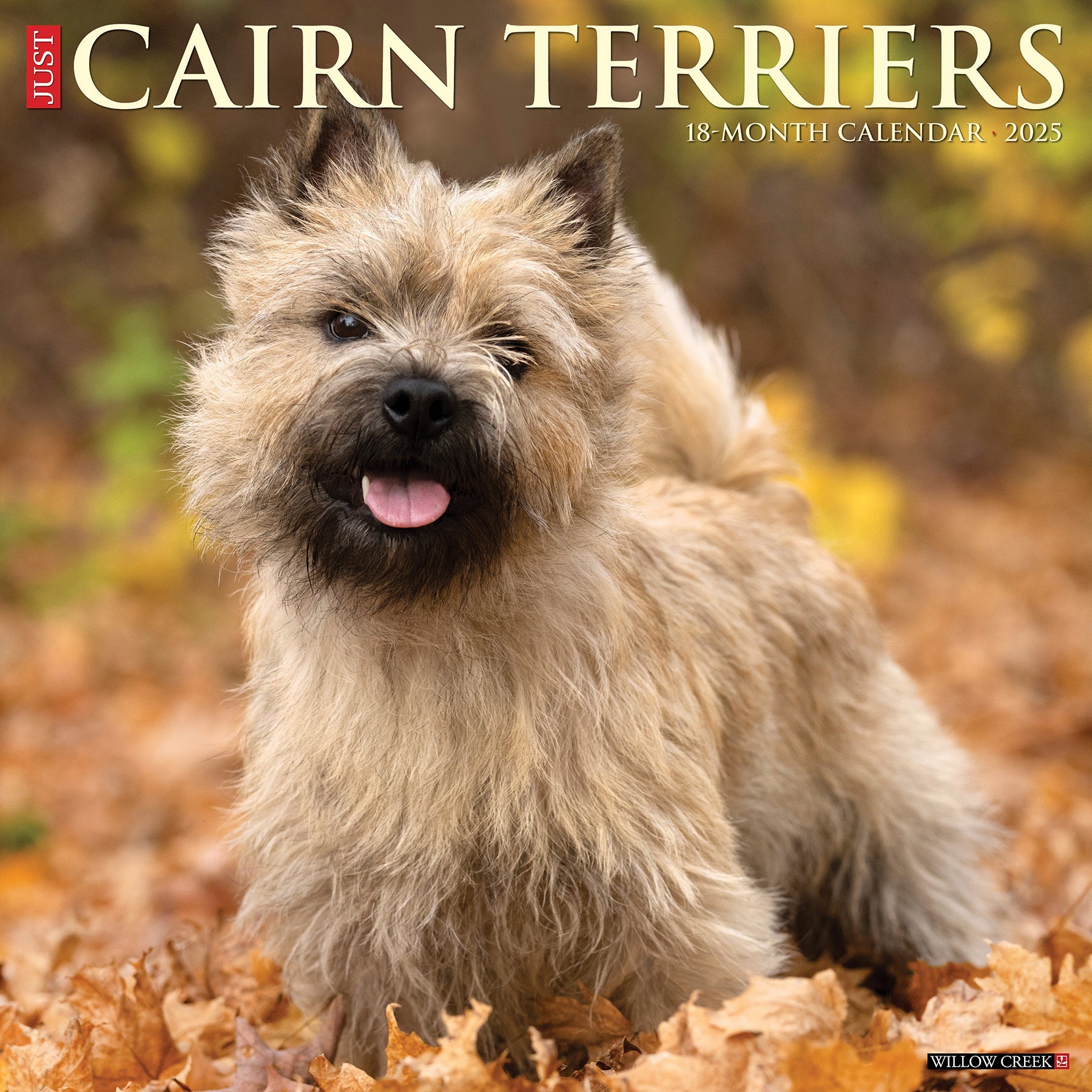 2025 Cairn Terriers - Square Wall Calendar (US Only)