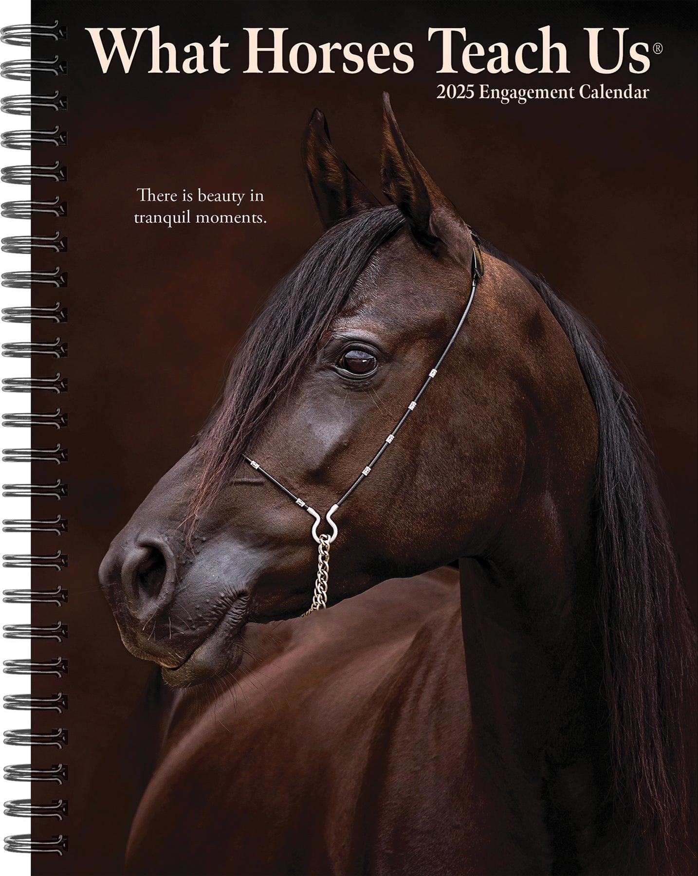 2025 What Horses Teach Us - Weekly Diary/Planner (US Only)