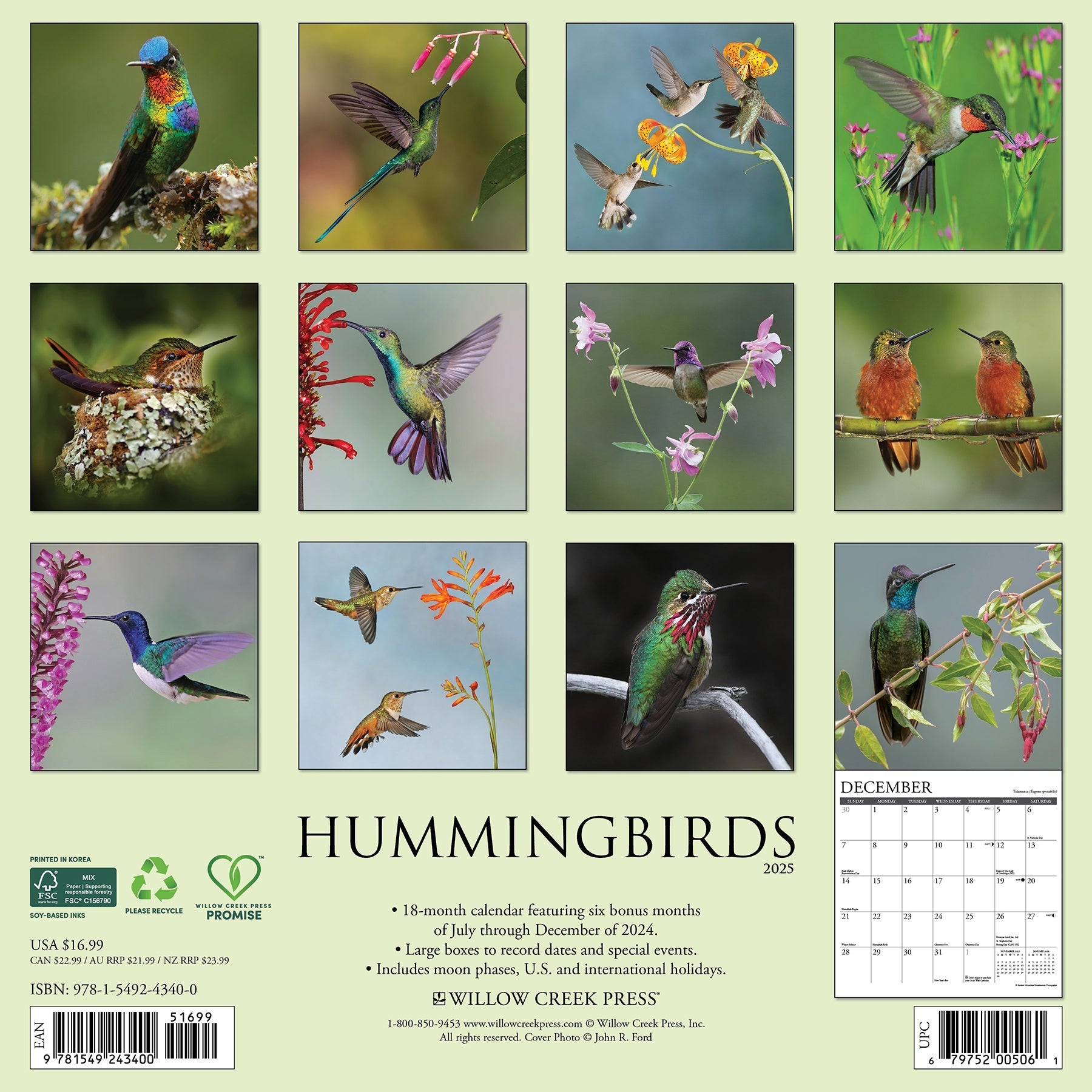 2025 Hummingbirds - Square Wall Calendar (US Only)