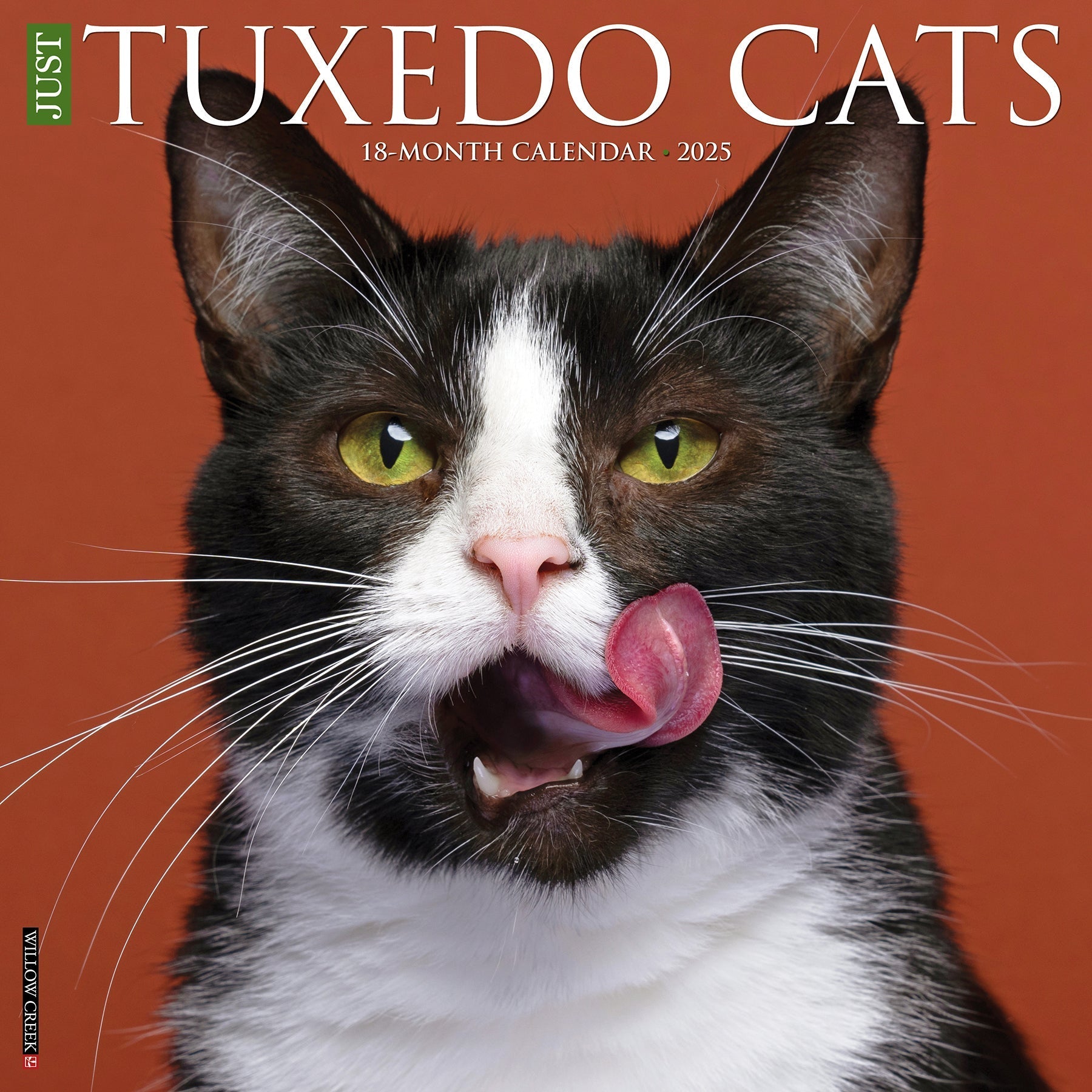 2025 Tuxedo Cats - Square Wall Calendar (US Only)