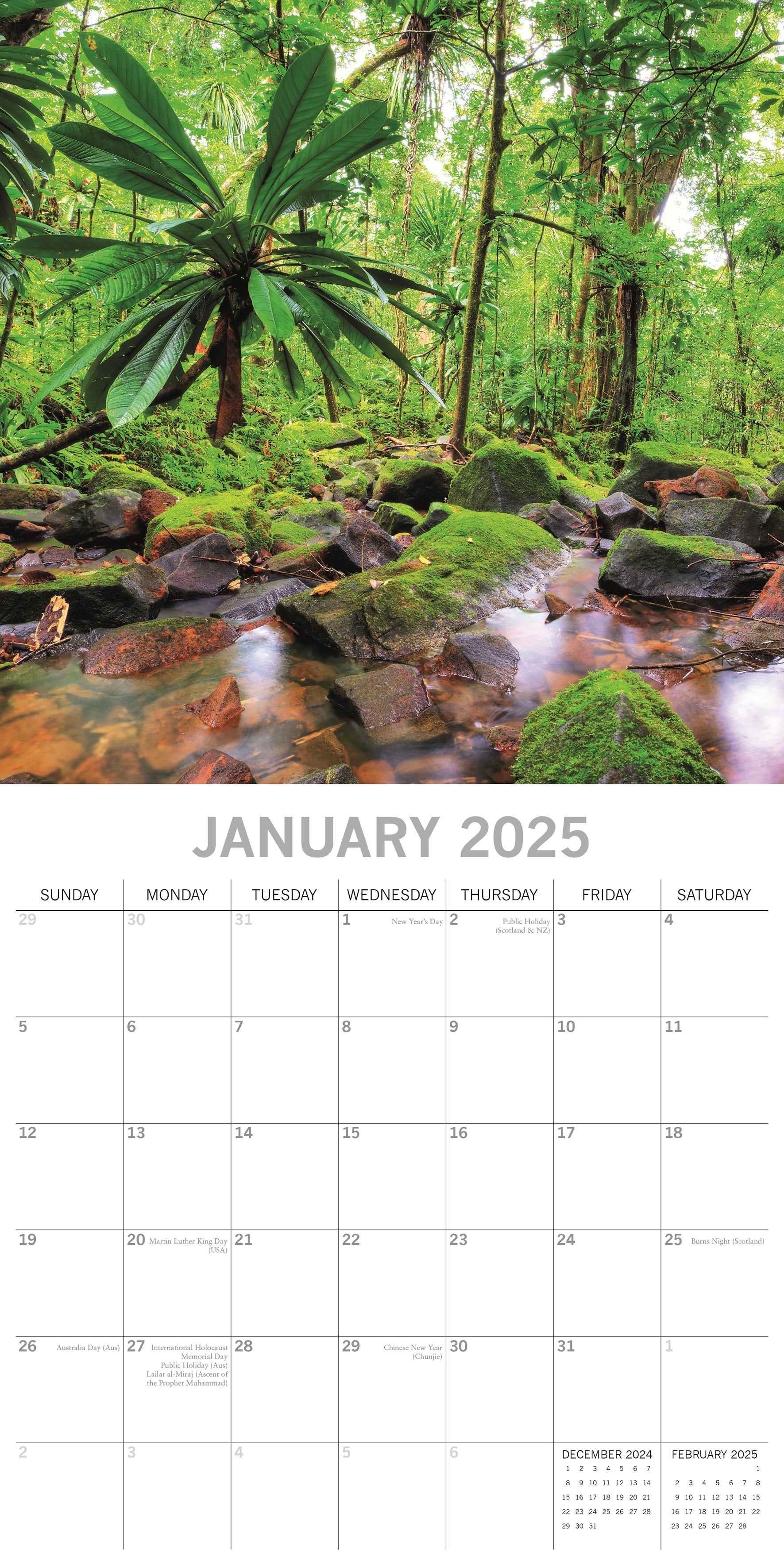 2025 Jungles - Square Wall Calendar