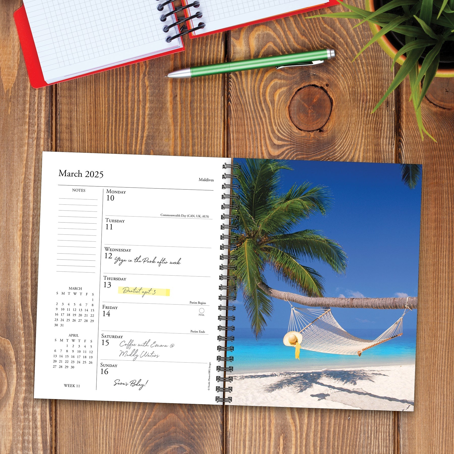 2025 Ah, The Beach! - Weekly Diary/Planner (US Only)