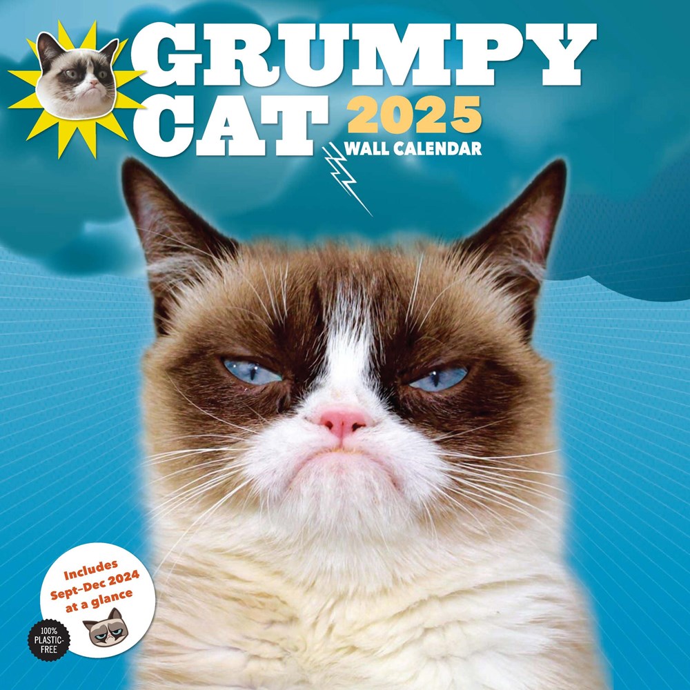 2025 Grumpy Cat - Square Wall Calendar