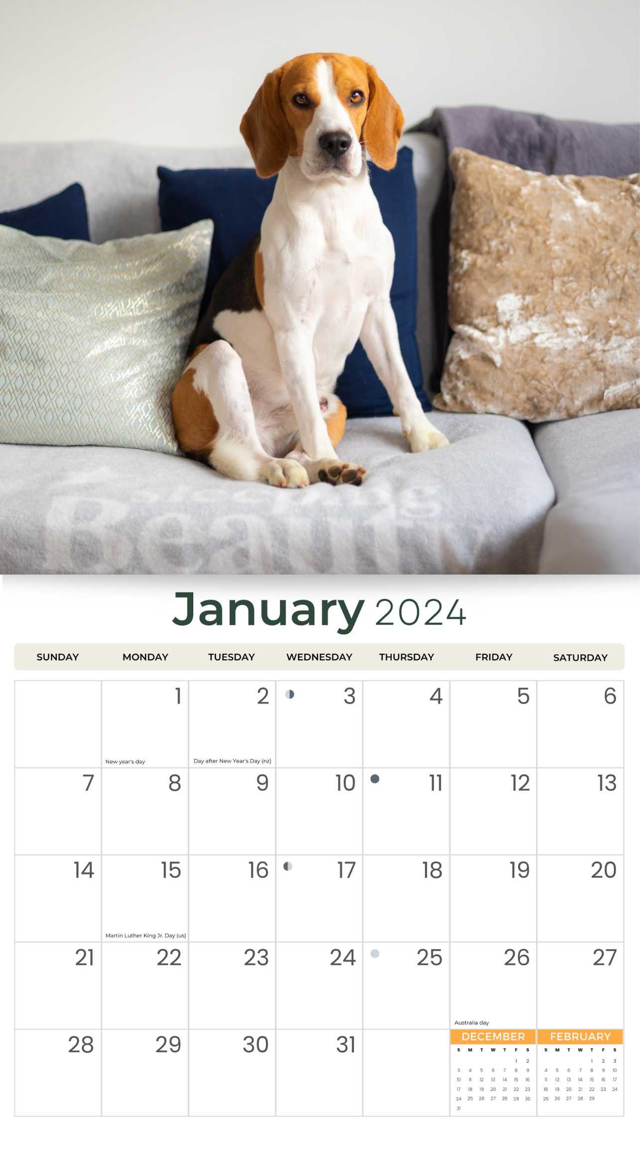 2024 Beagles Dogs & Puppies - Deluxe Wall Calendar by Just Calendars - 16 Month - Plastic Free
