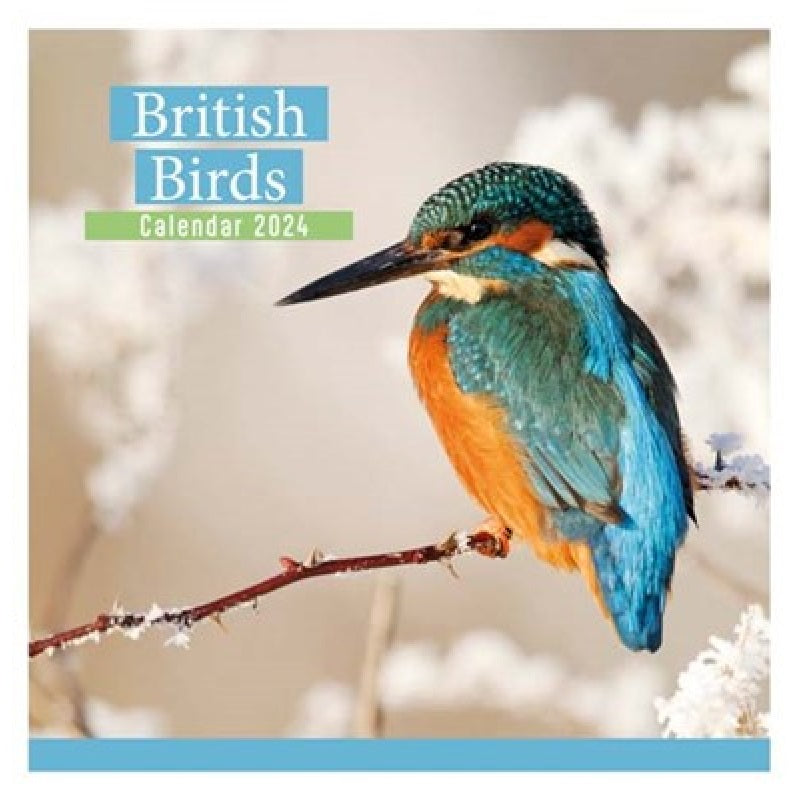 2024 British Birds - Square Wall Calendar